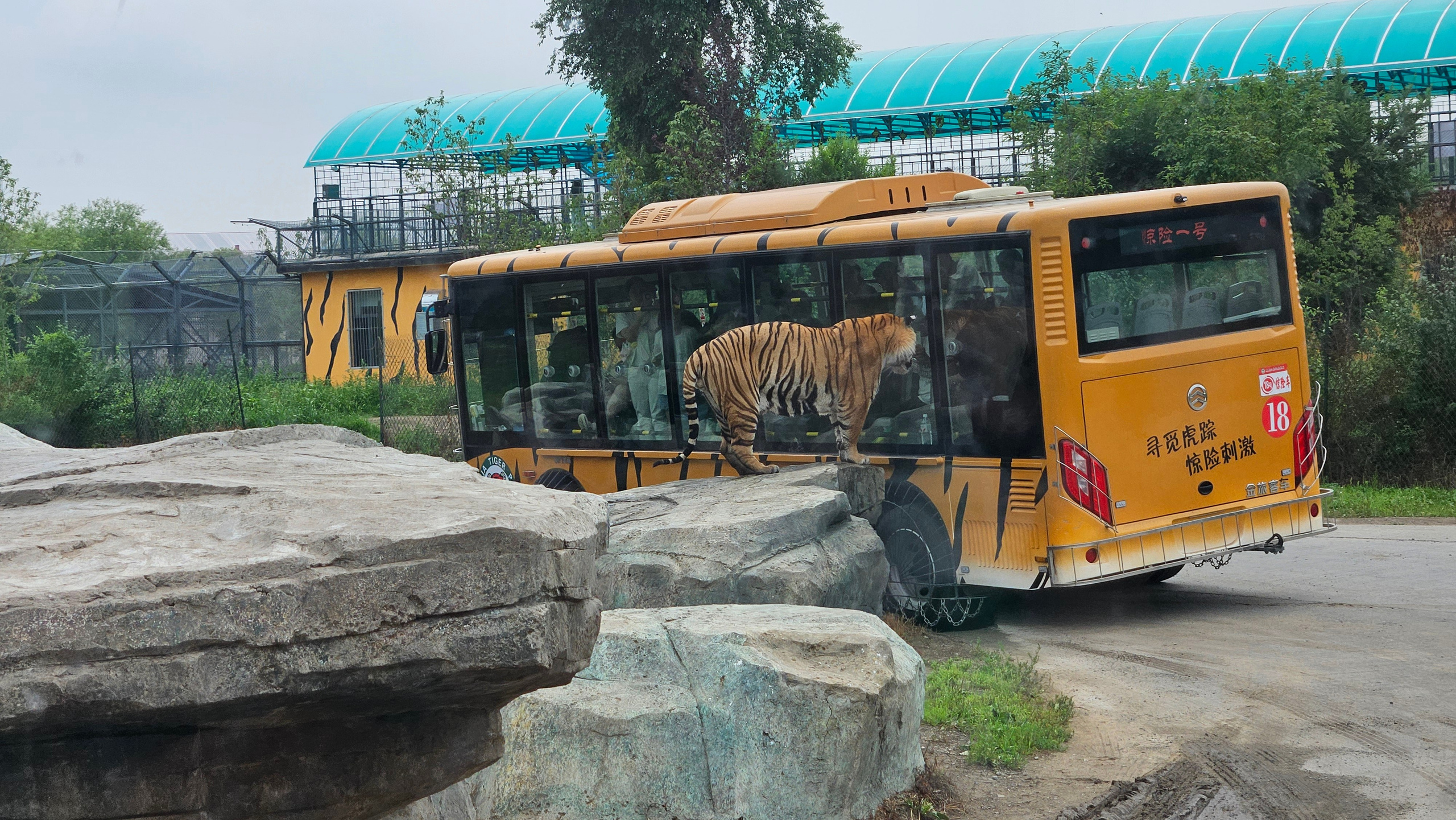 Китай. Июль 2025