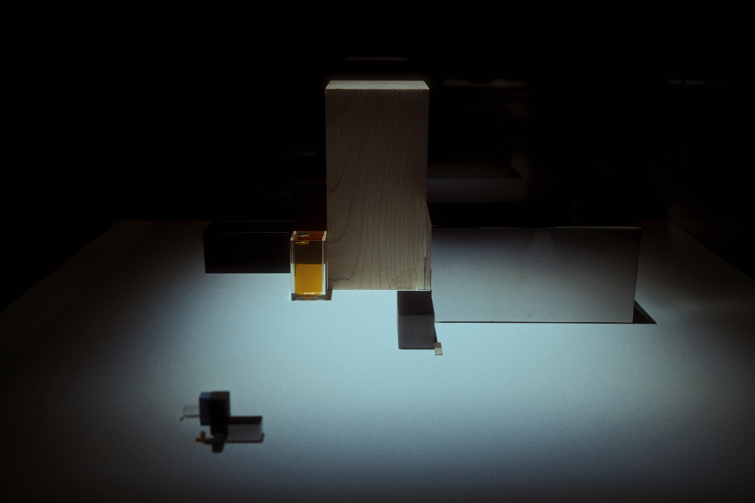 Garage MCA / “Грядущий мир: экология как новая политика. 2030–2100”. Фотограф Юрин Евгений