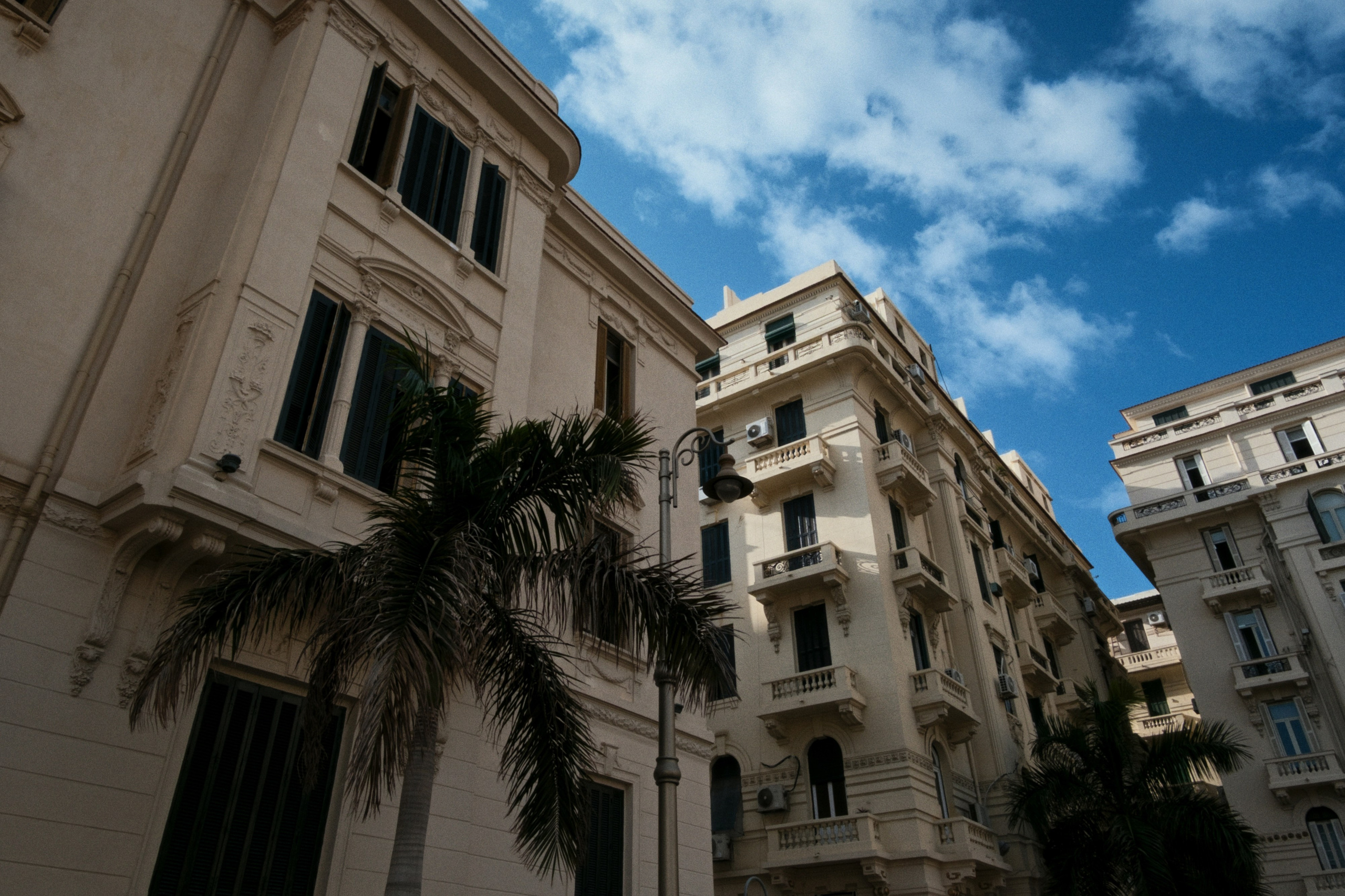 Alexandria / Egypt AW25. Фотограф Юрин Евгений