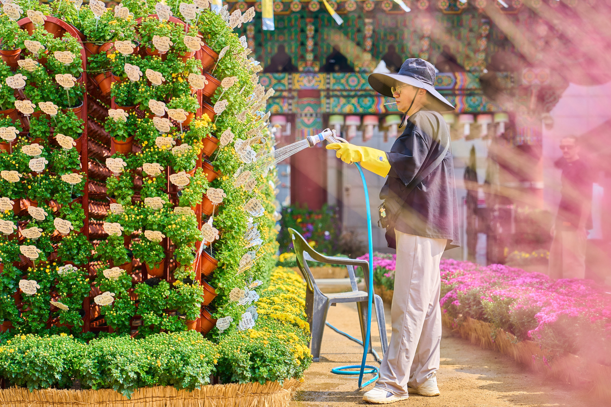 Fall 2024 – Seoul.