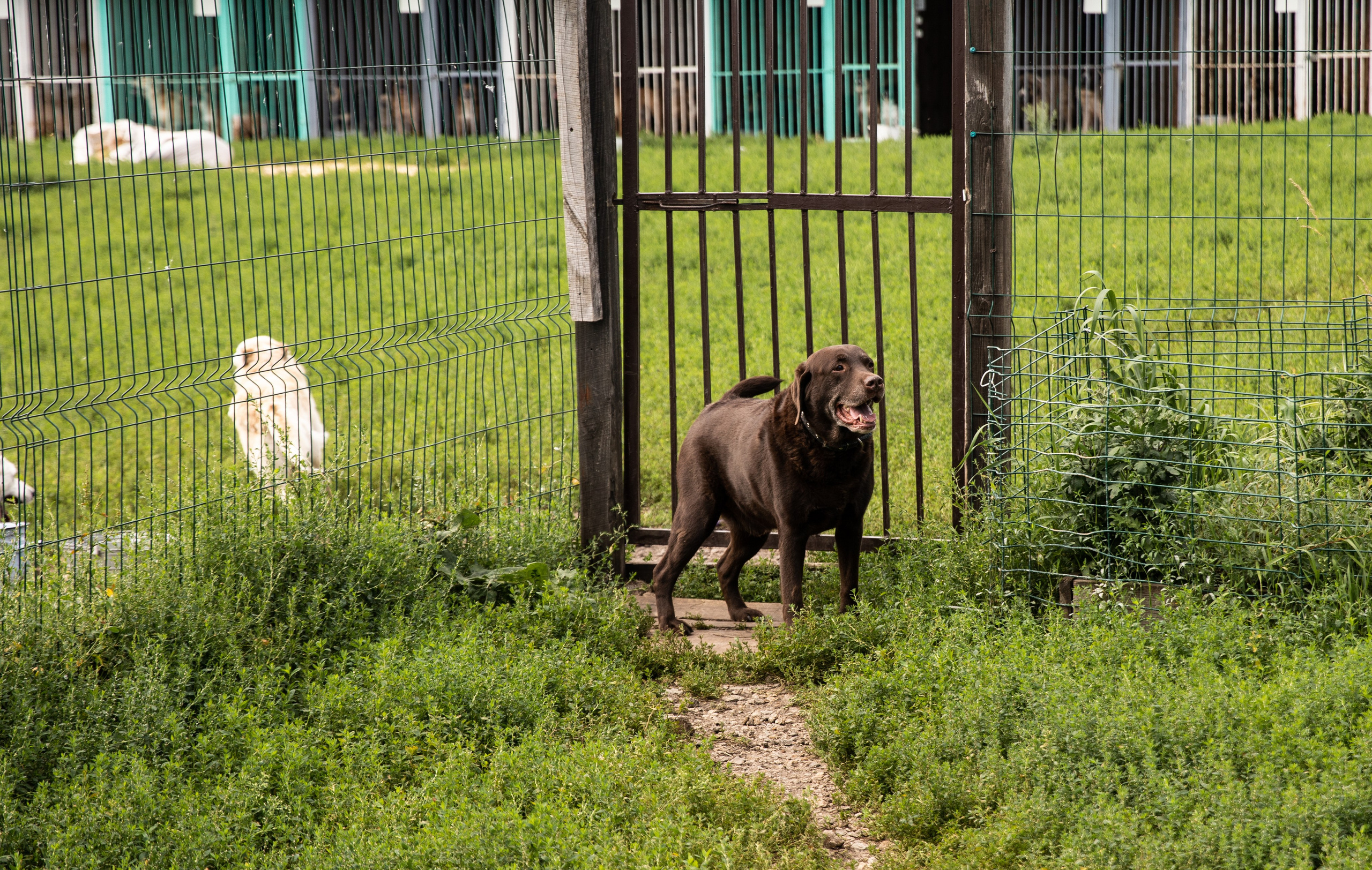Приют — Наш дом. Репортажный и свадебный фотограф в Челябинске Елисеев Павел
