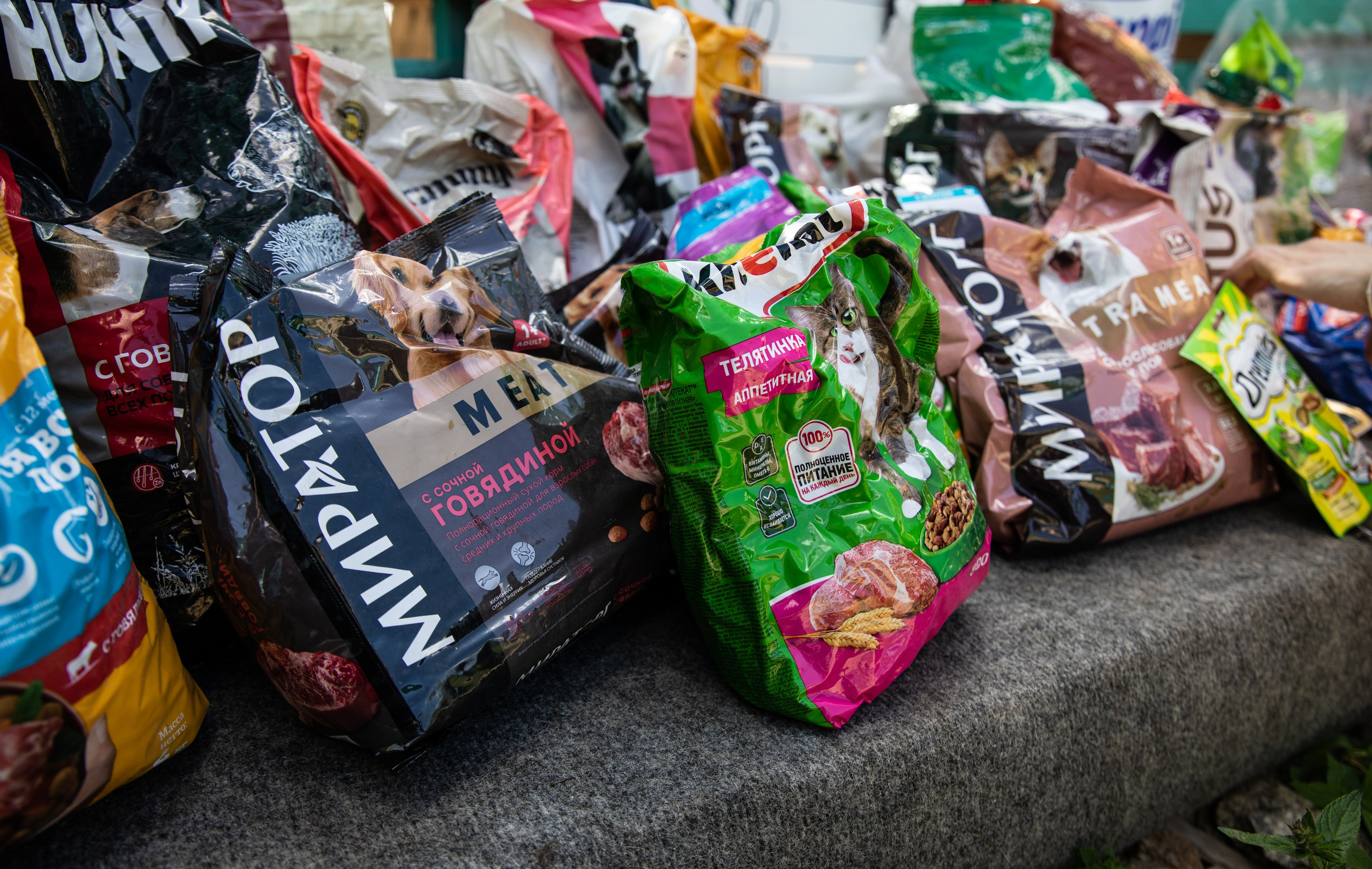 Приют — Наш дом. Репортажный и свадебный фотограф в Челябинске Елисеев Павел