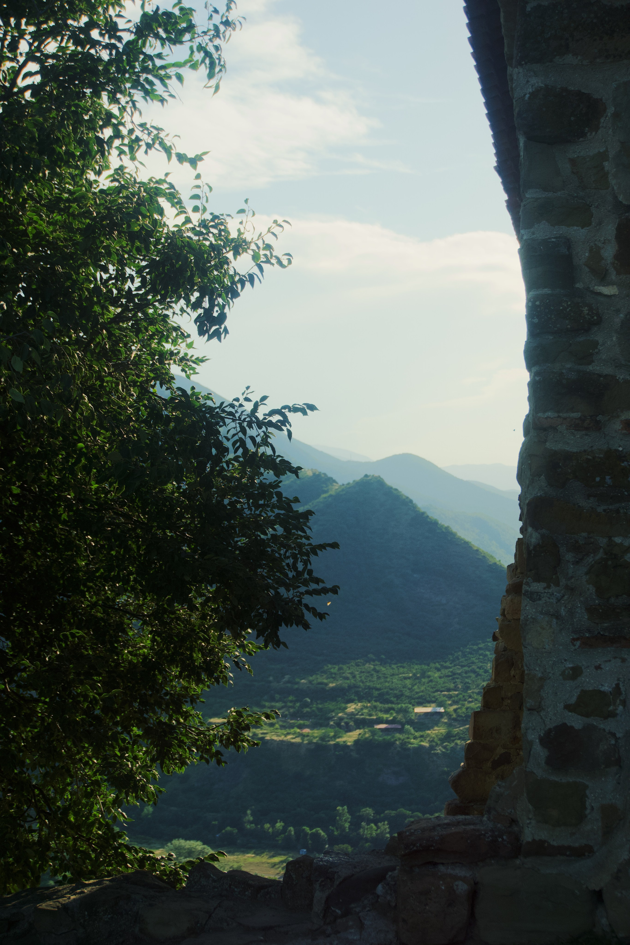 Тбилиси. Татьян гертье