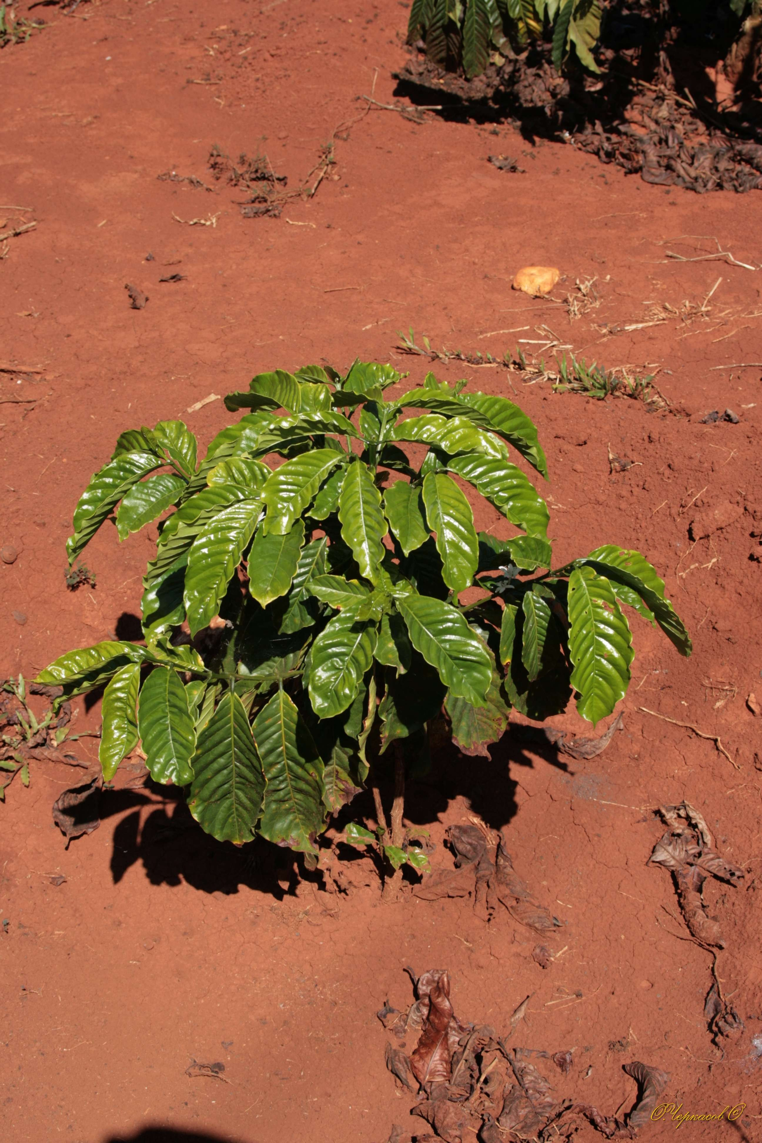 Вьетнам 2008 г. Улица, люди, жизнь…