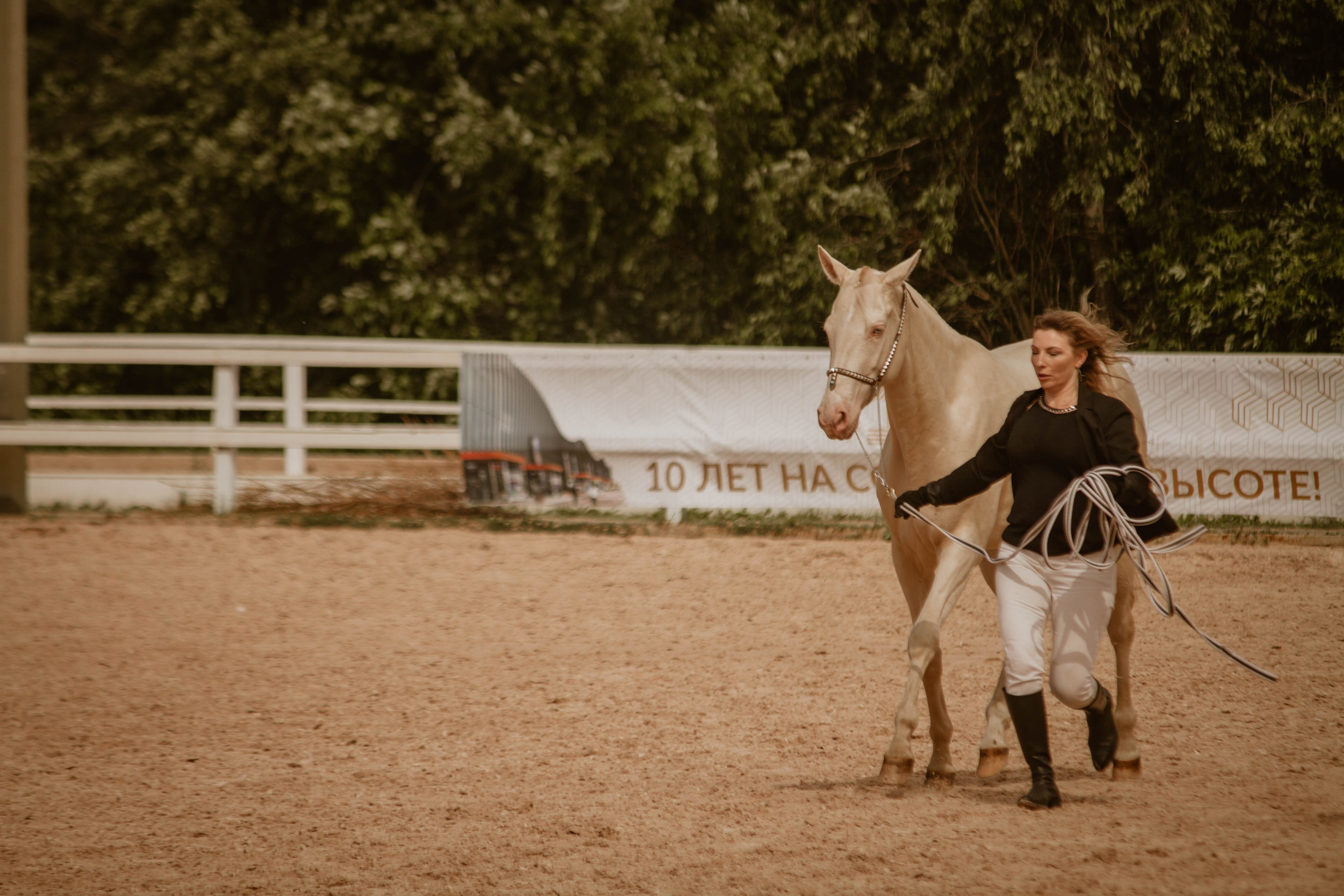 ИППОСФЕРА — Международная конная выставка. Создадим шедевр? Виталина и её фотоискусство