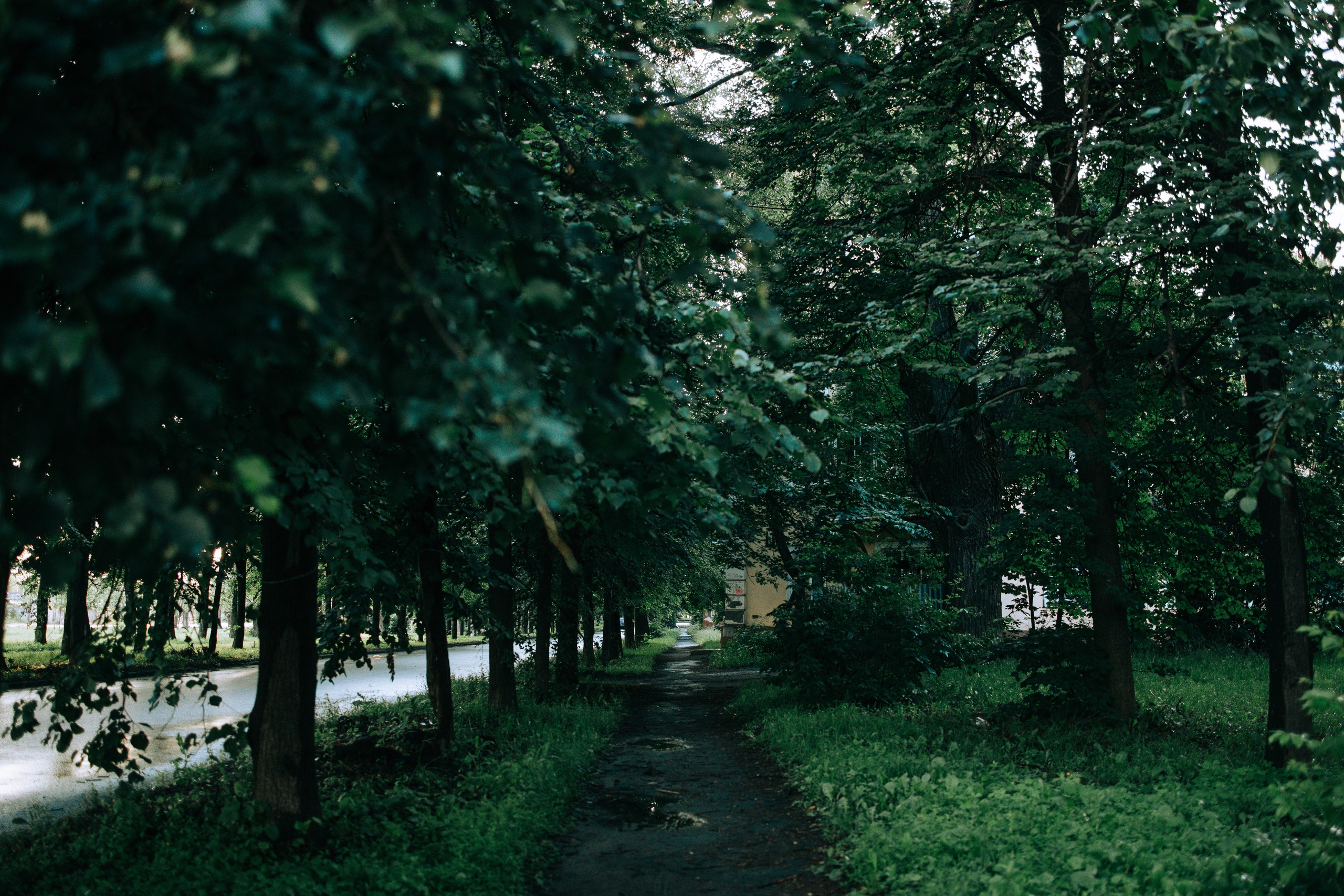 Дождливое лето. Свадебный и семейный фотограф в Туле и области Маша Костина