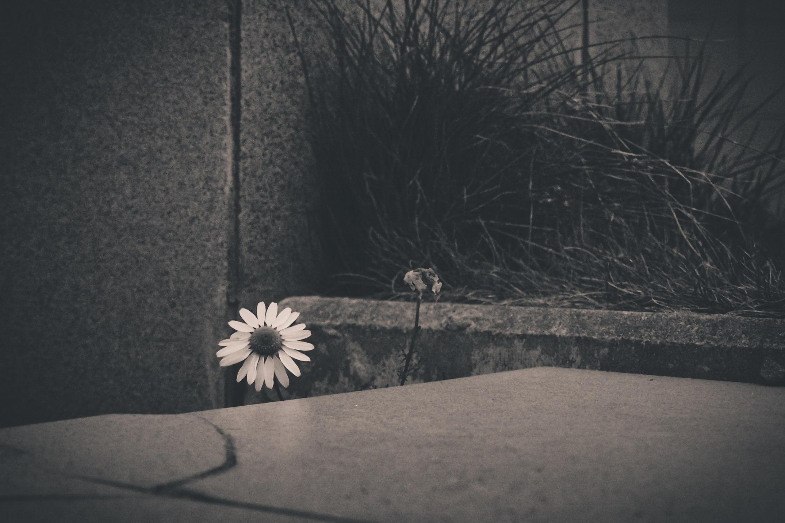 Слава где фотки?