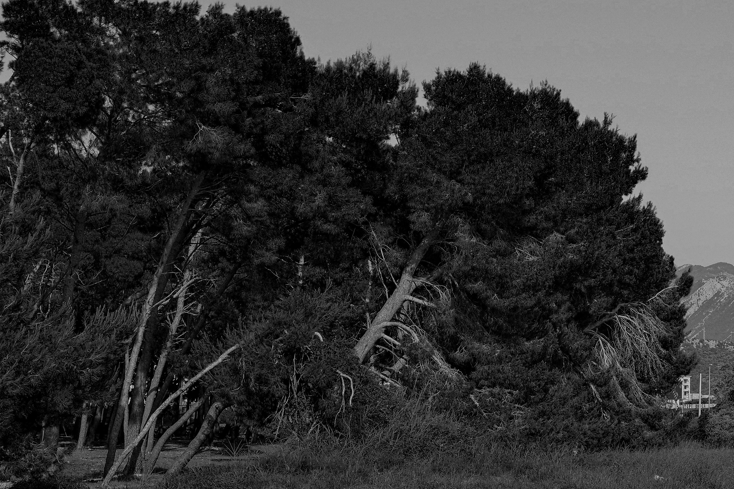 Gallery. Творческий фотограф. Санкт-Петербург