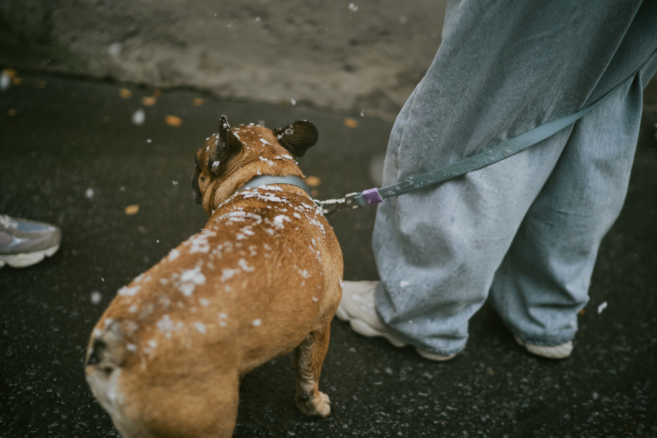 Лена и Кирилл. Фотограф в Санкт-Петербурге | Аня Маленчук