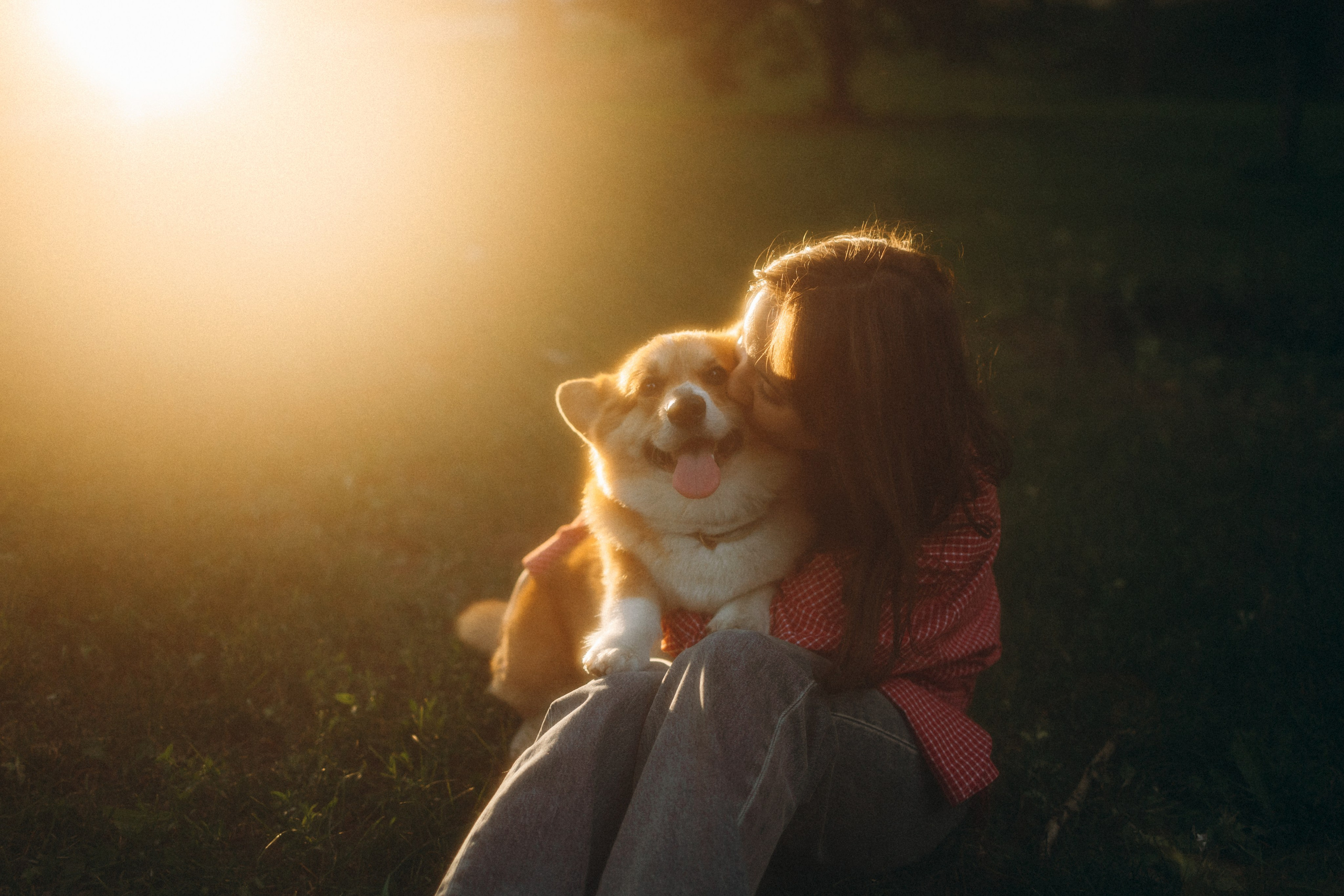Момо, Люда и Эд. Фотограф анималист Анастасия Пикей