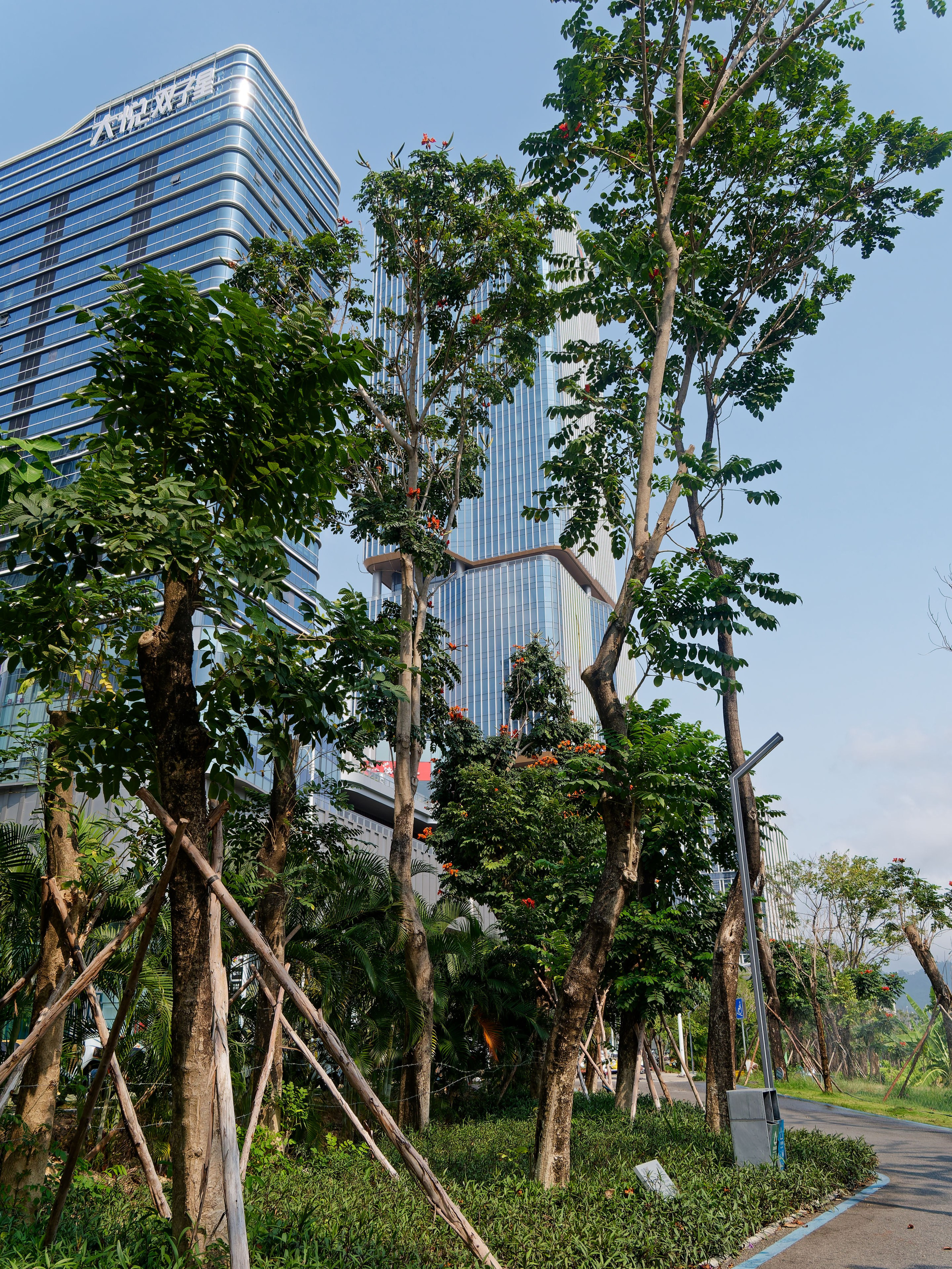 Хайнань 2026, Санья, Торговый центр «Joy City». Фотопрогулки по Миру