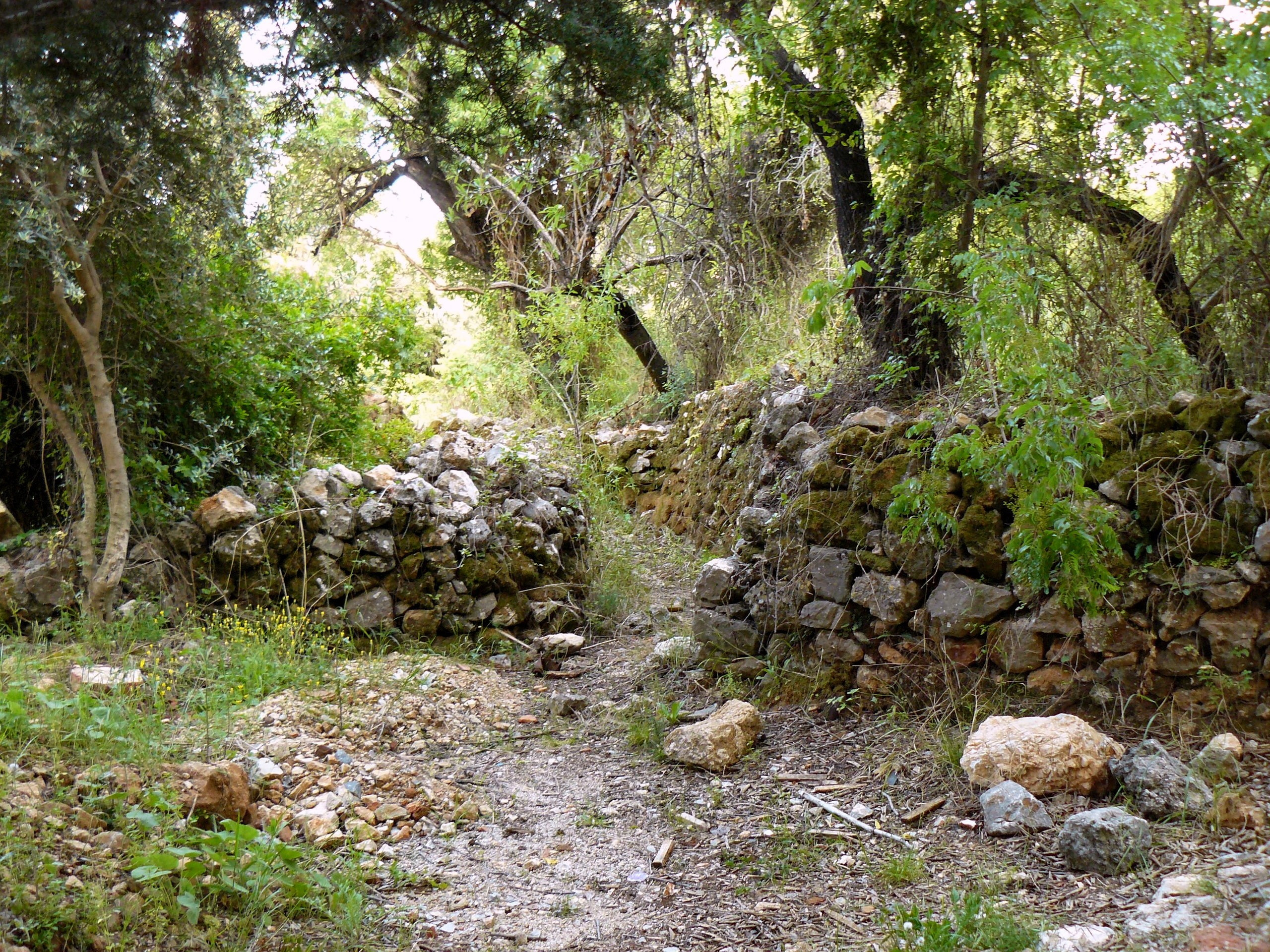 Алания 2014 старая крепость. Фотопрогулки по Миру