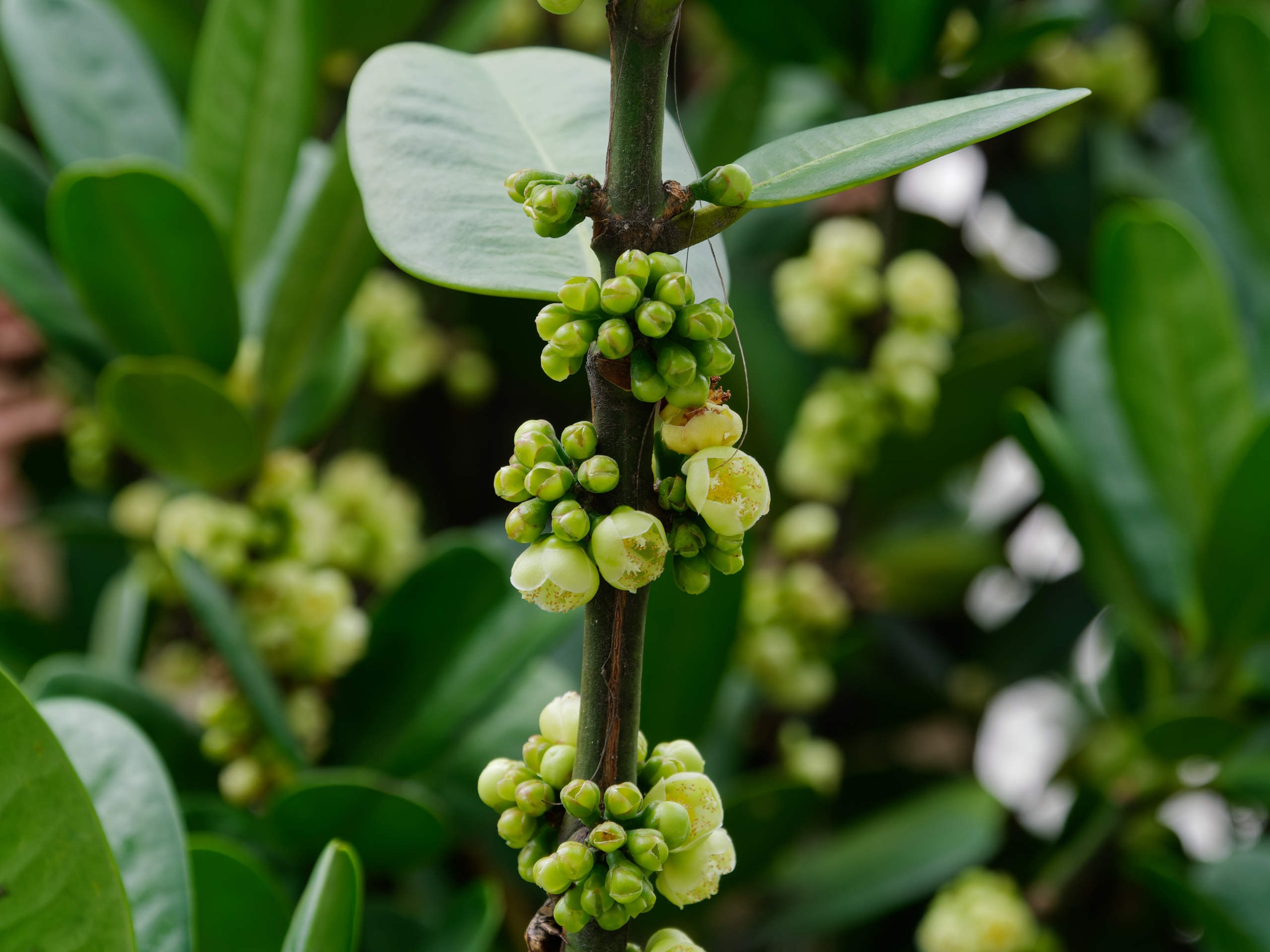 Нячанг 2025 (4). Избранные фотографии