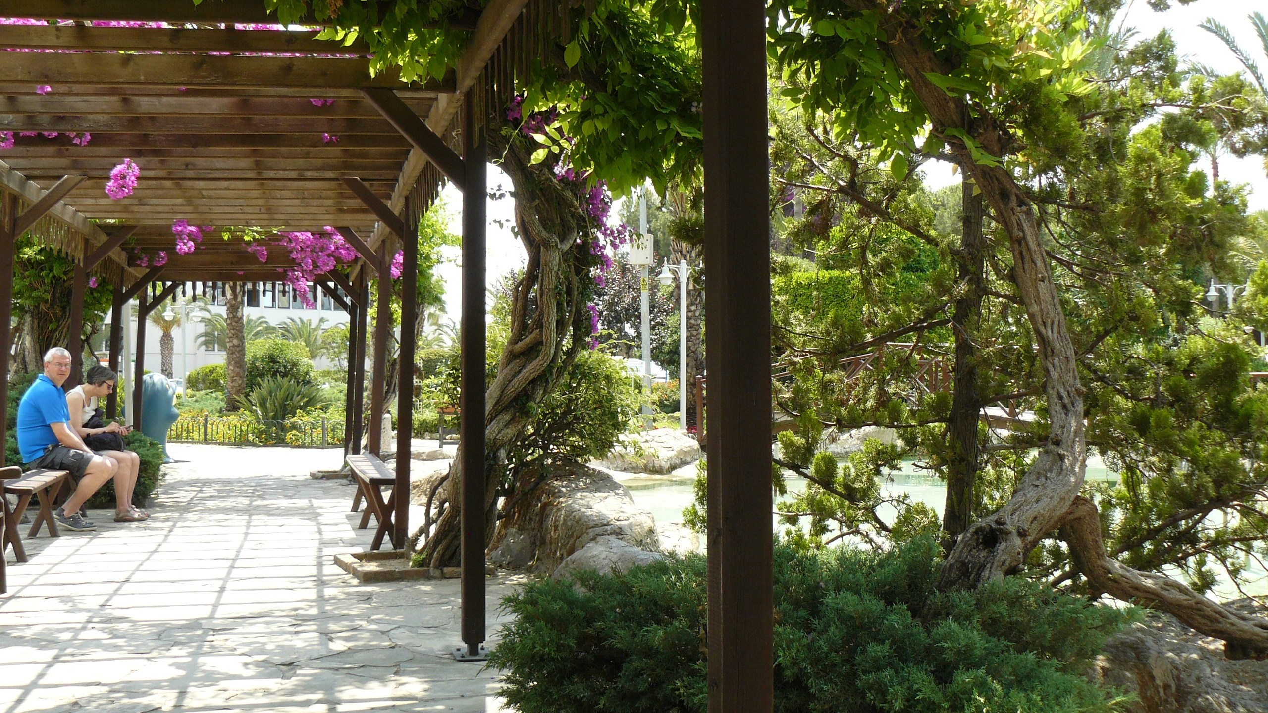 Алания 2015 порт и парк. Фотопрогулки по Миру