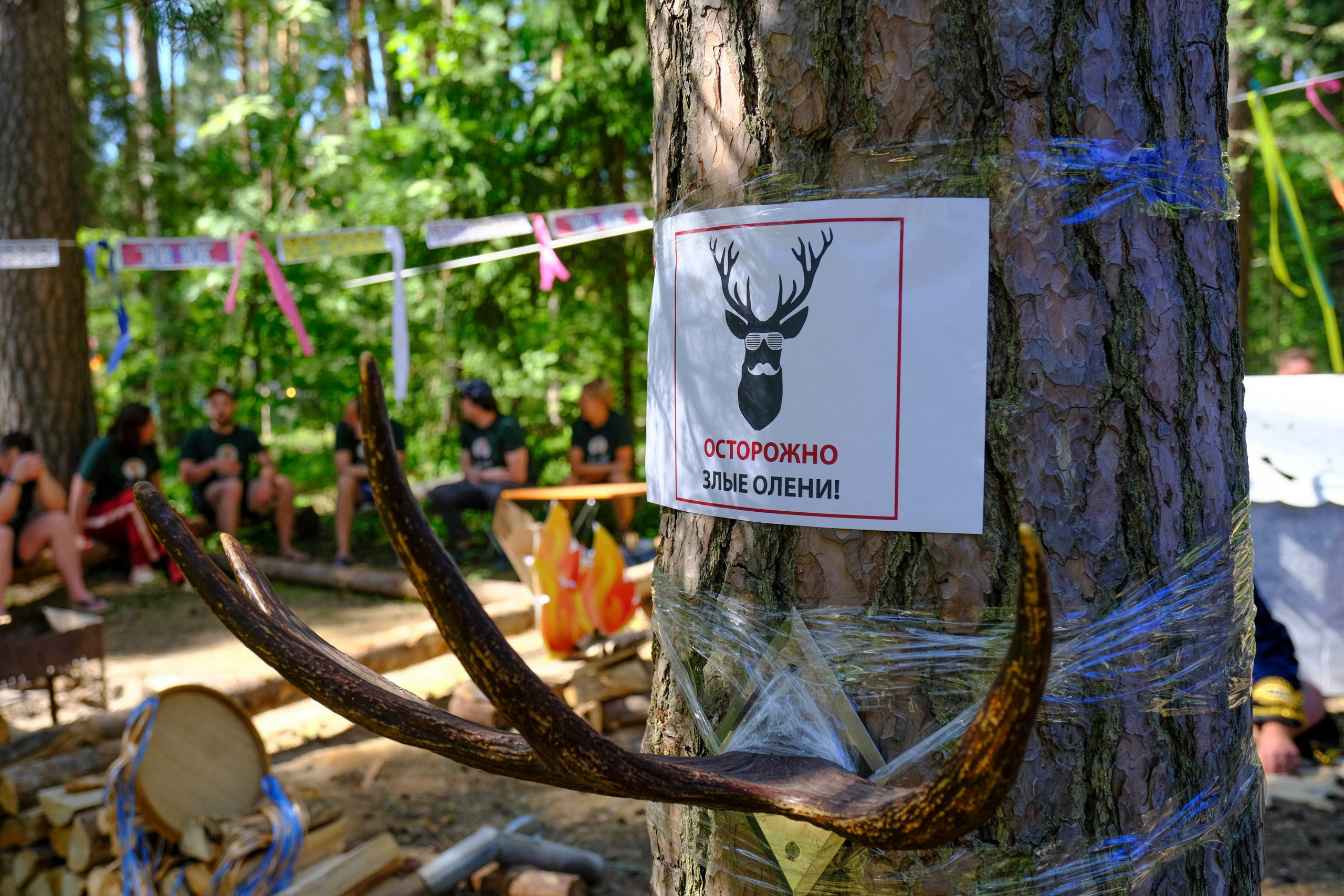 Корпоративный турпоход 500 чел. Территория M.I.C.E. Территория EVENT. Организация мероприятий