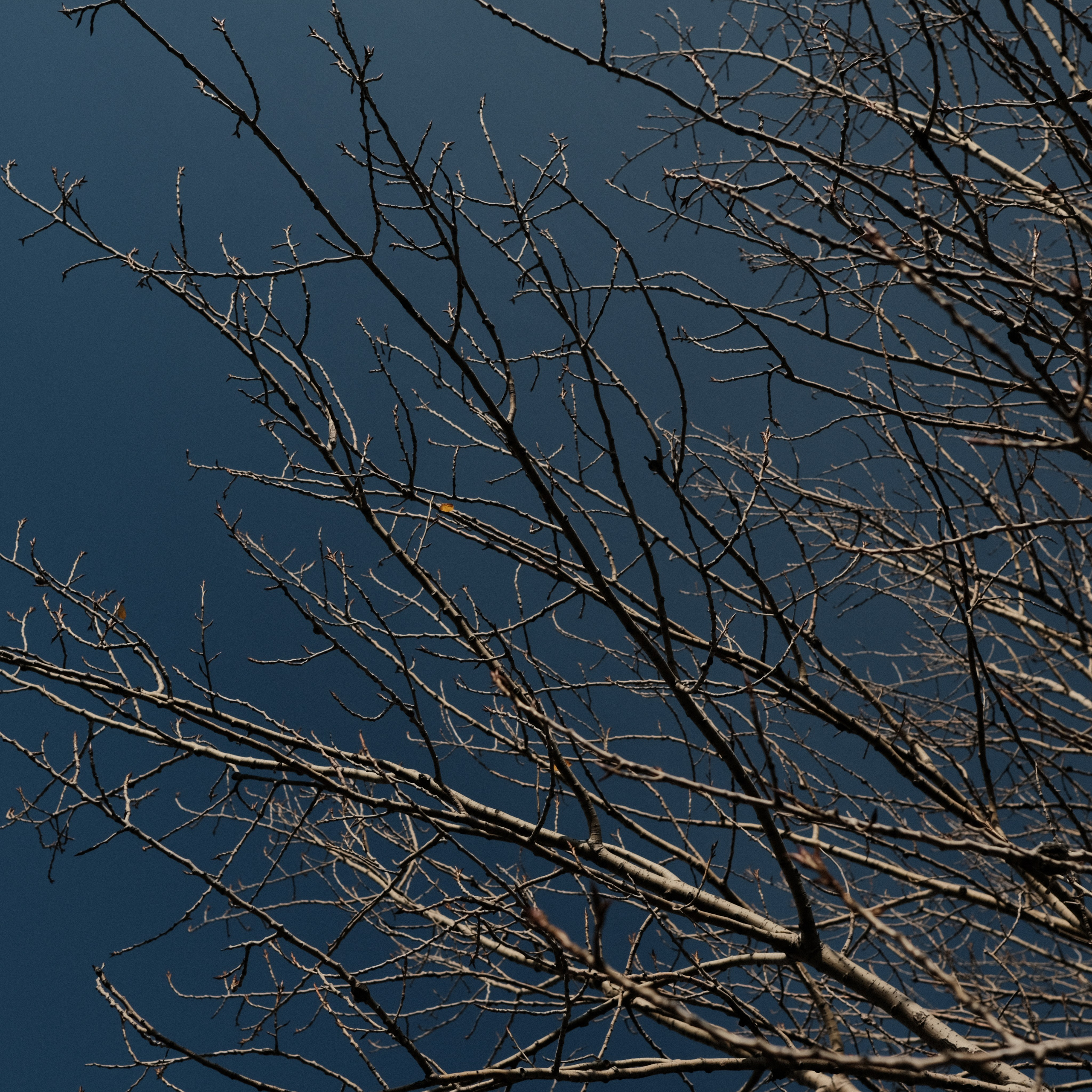 Нижний Новгород. LIYALEE PHOTO