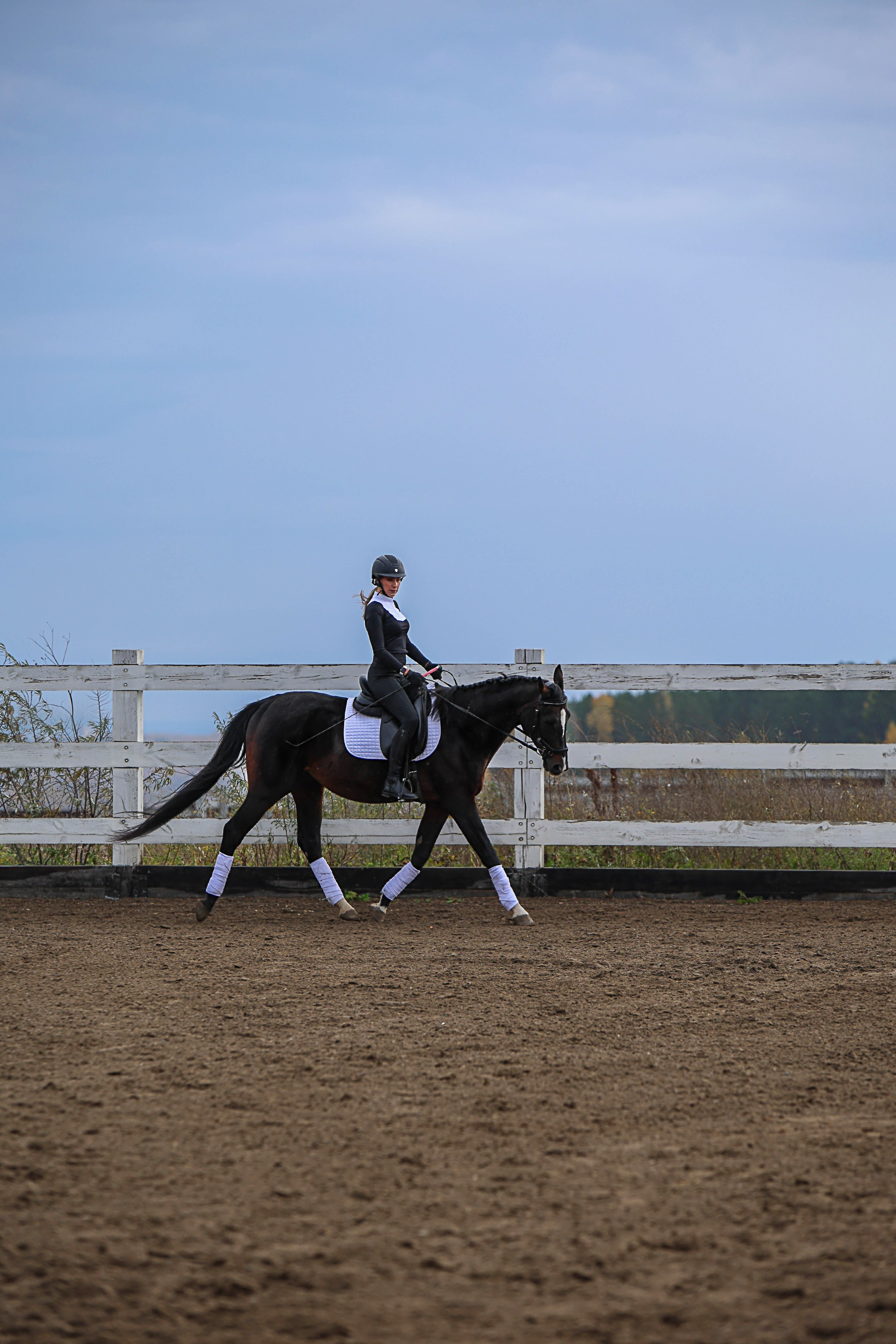 Конные клубы. Конный фотограф в Красноярске — Любовь Похабова