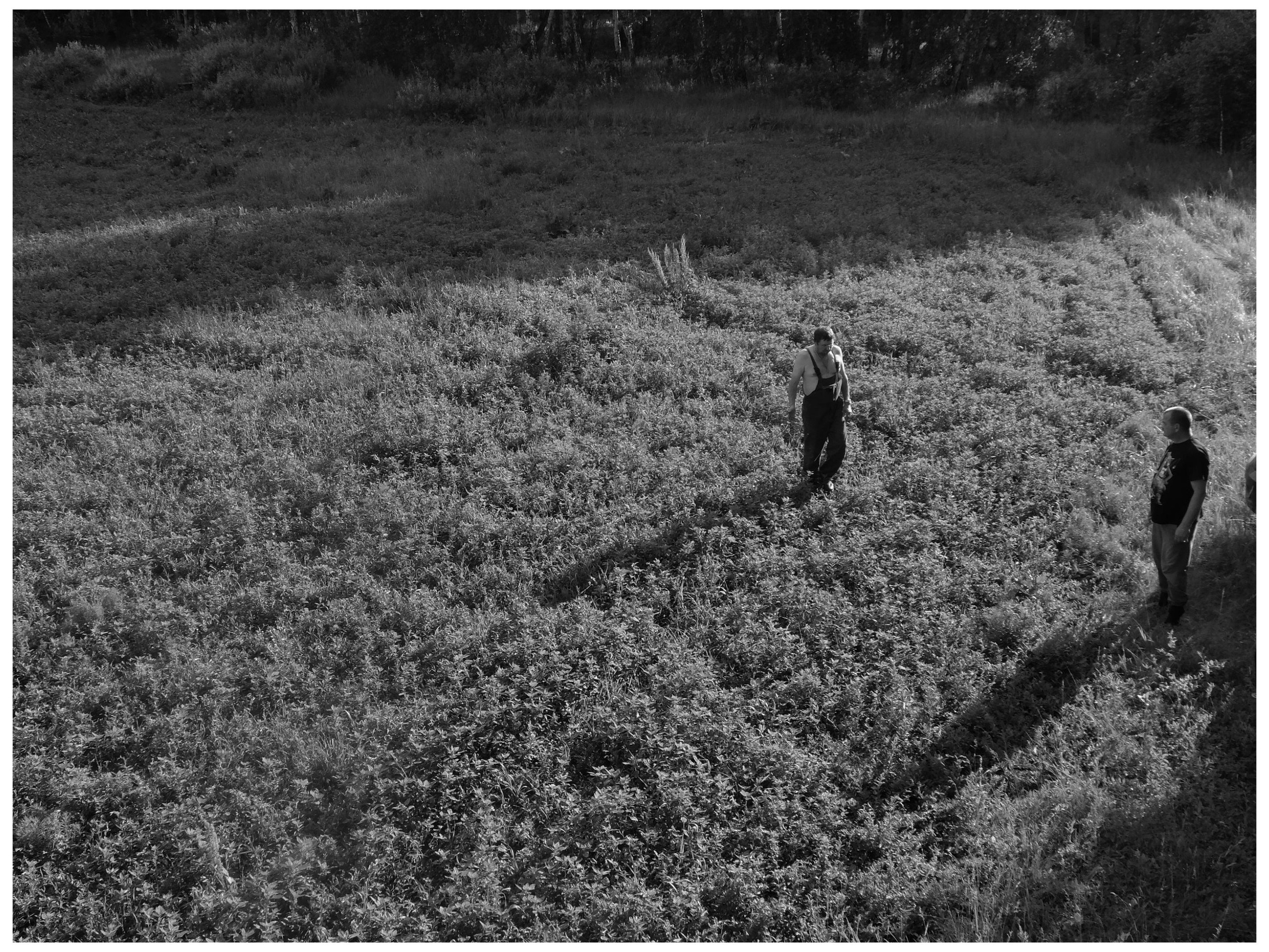 Промежуточные моменты (2022)