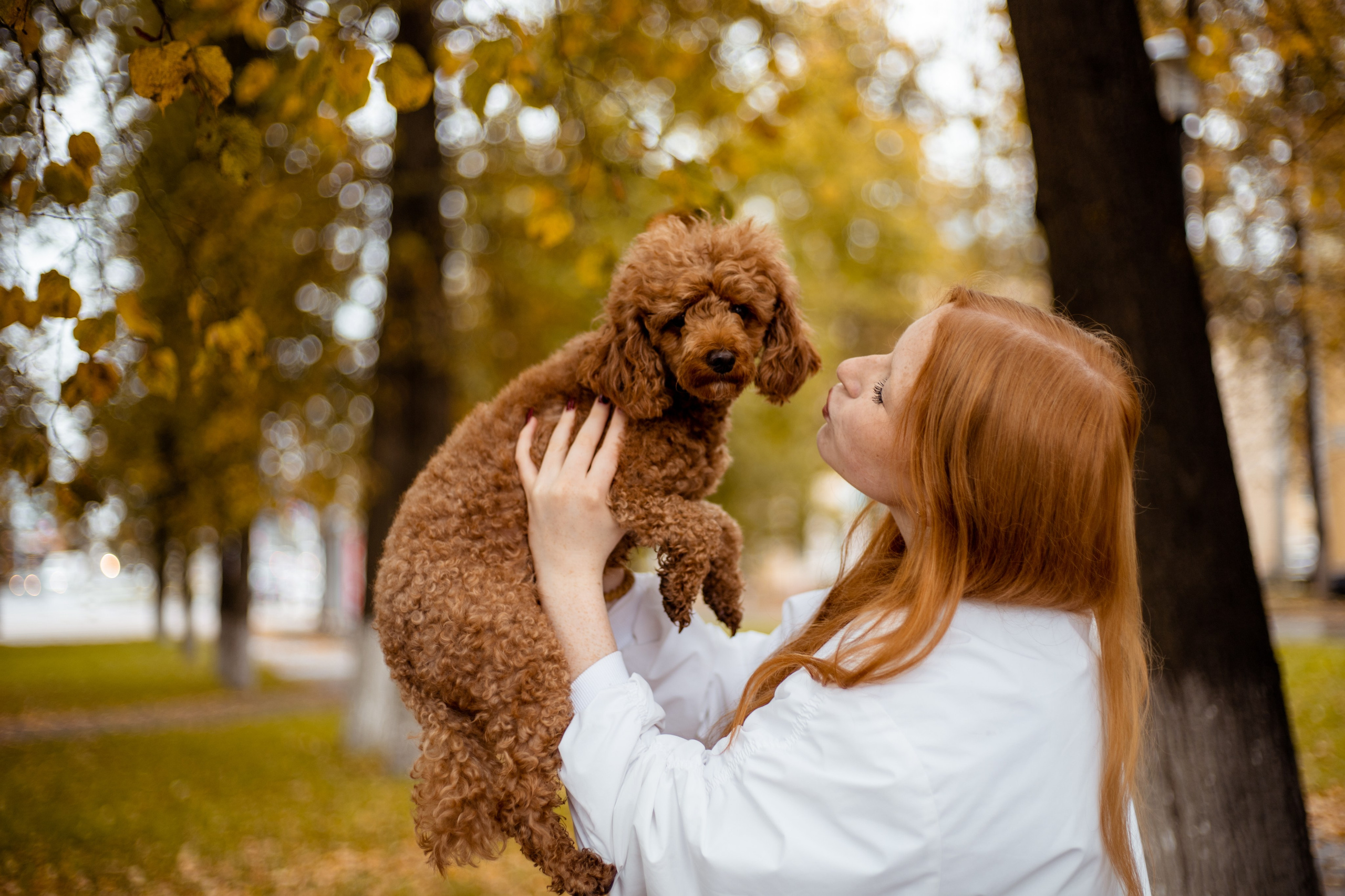 Съемки с питомцем. Tenny-Tiny Ph