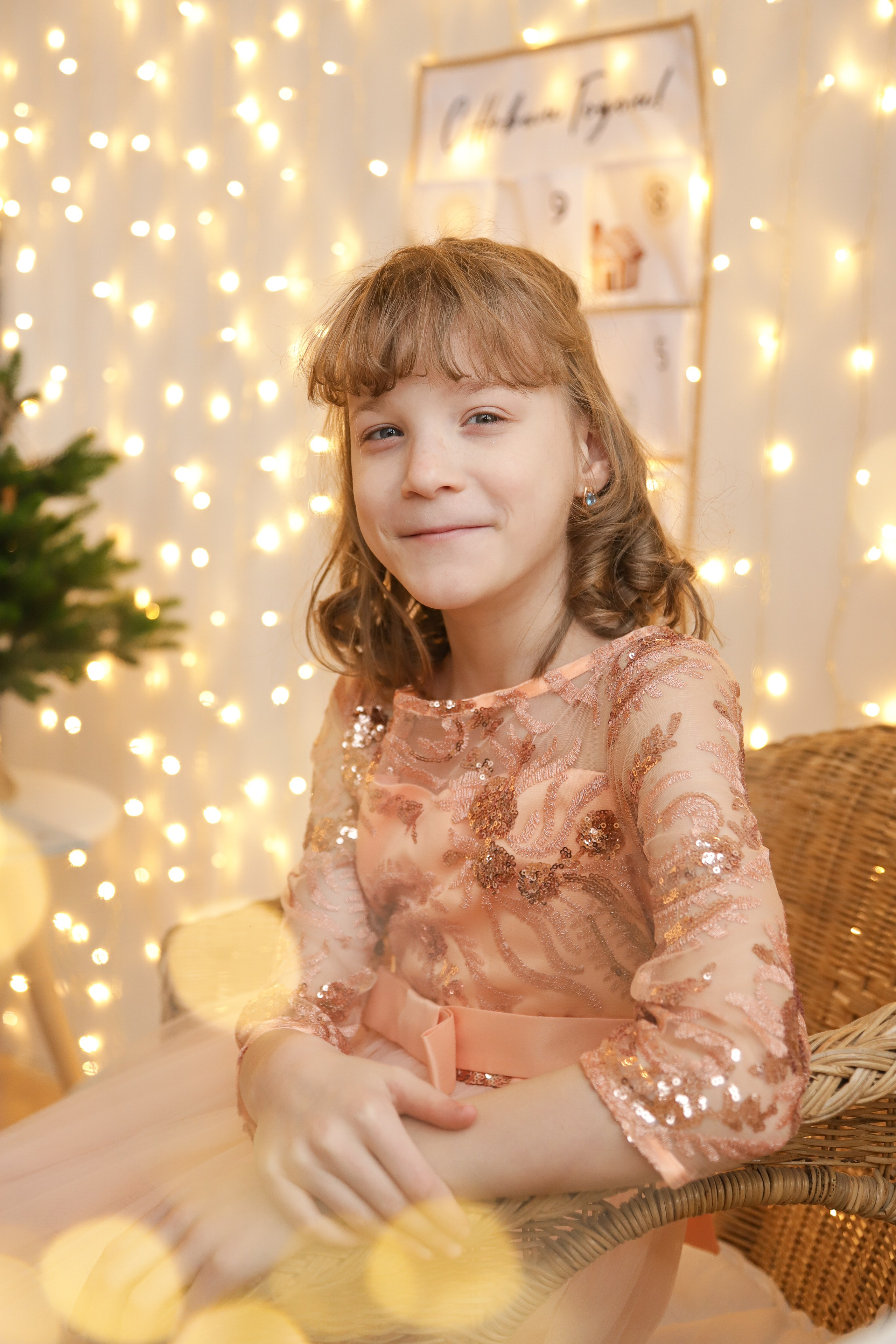 Сестрички новогодняя. Диана Николаева — фотограф город Балашиха