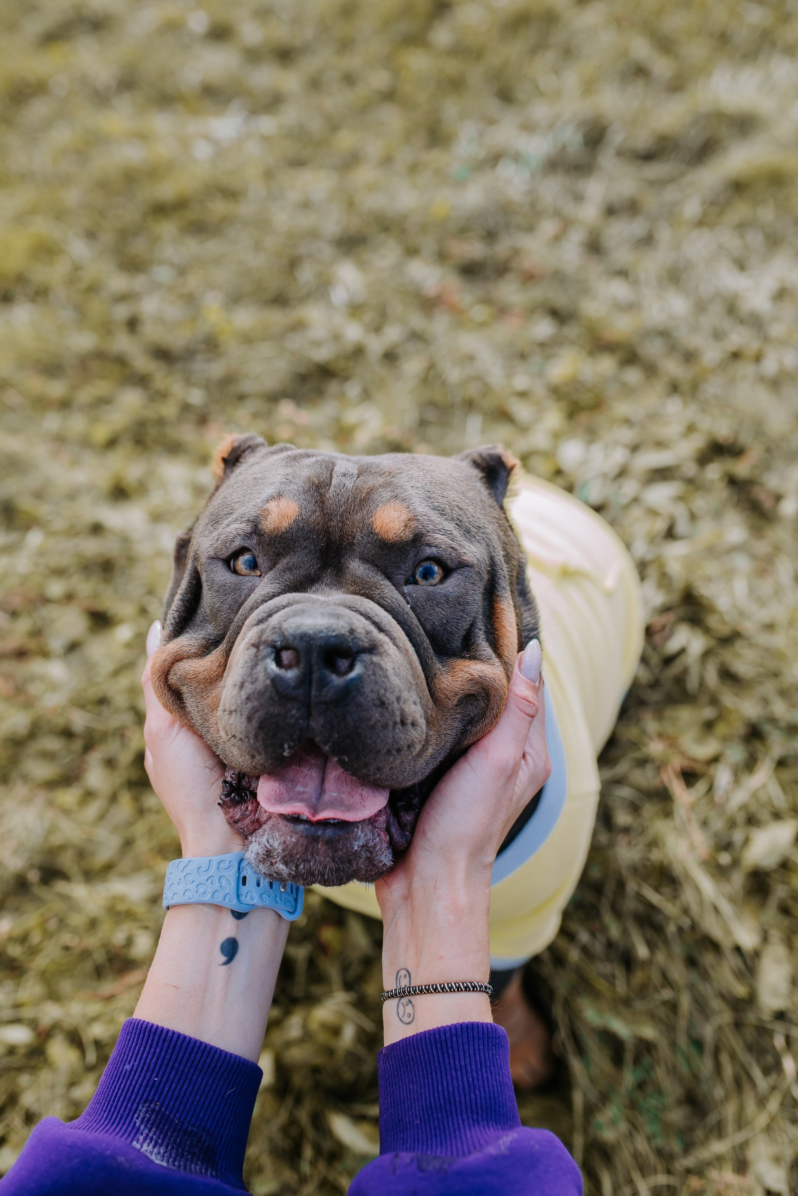Фотопрогулка с питомцами. Фотограф Диана Оленина Красноярск / Братск