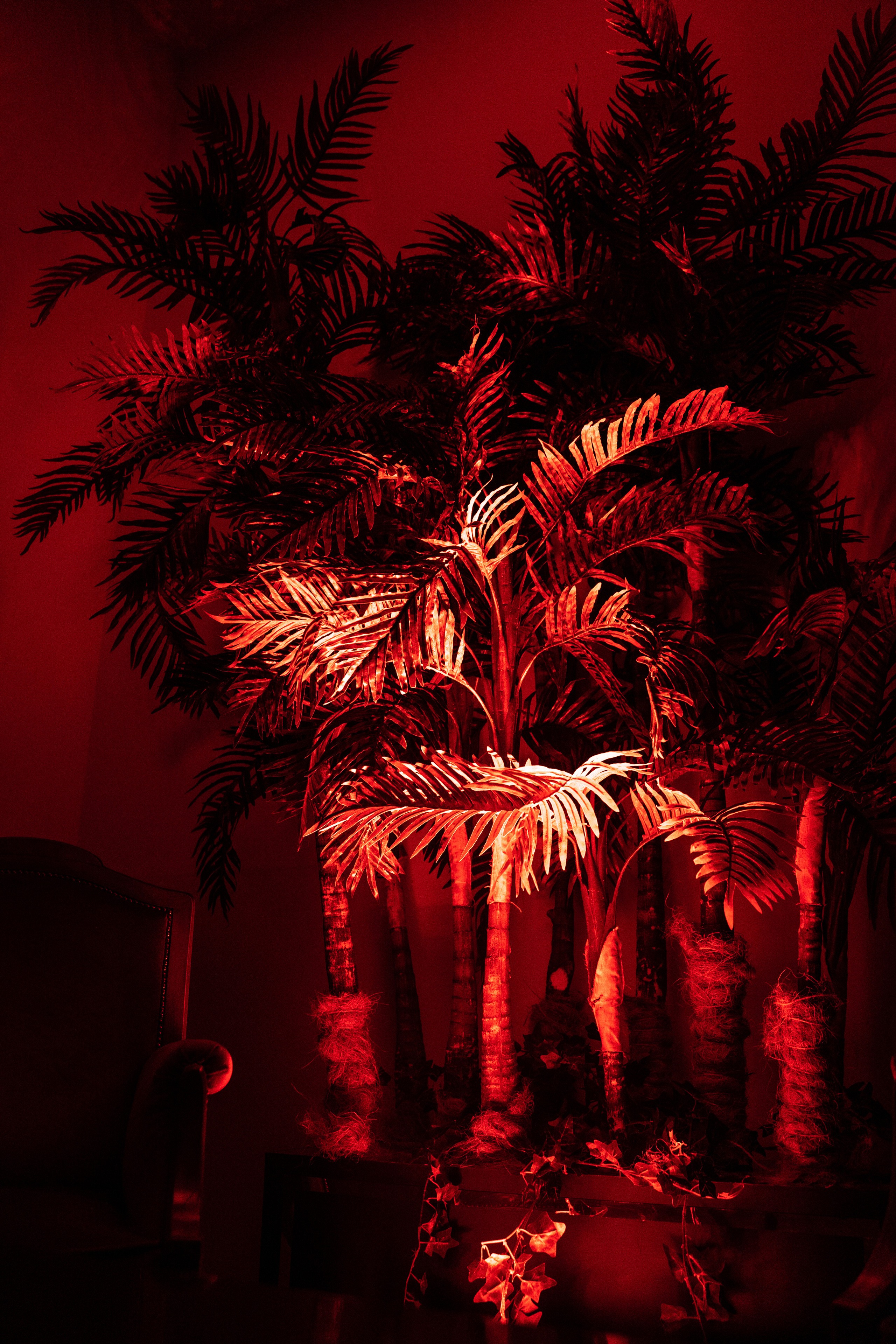 GASTROSHOW. Сергей Христолюбов | Фотограф Москва