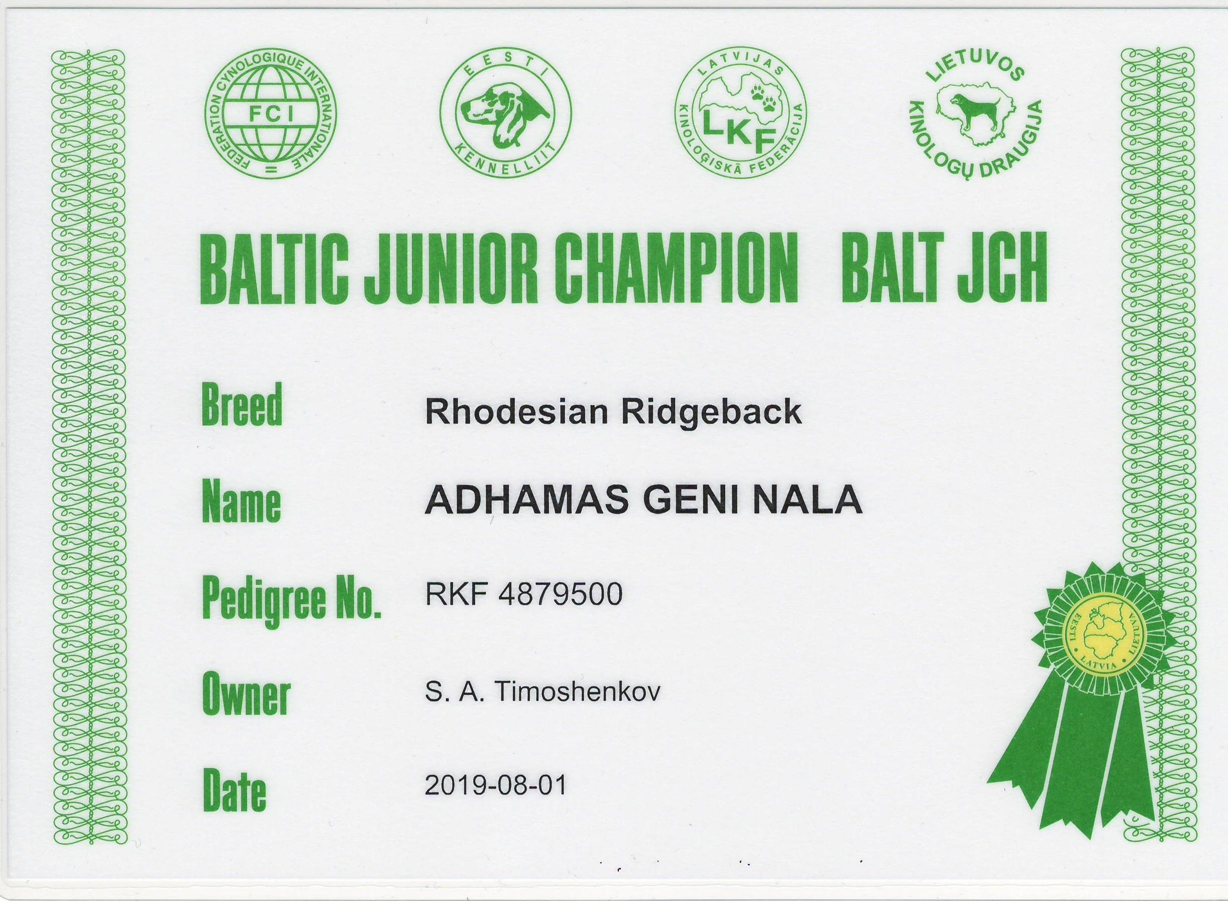 Титулы и чемпионство родезийского риджбека Adhamas Geni Nala (Алана). Rhodesian ridgeback Adhamas Geni Nala