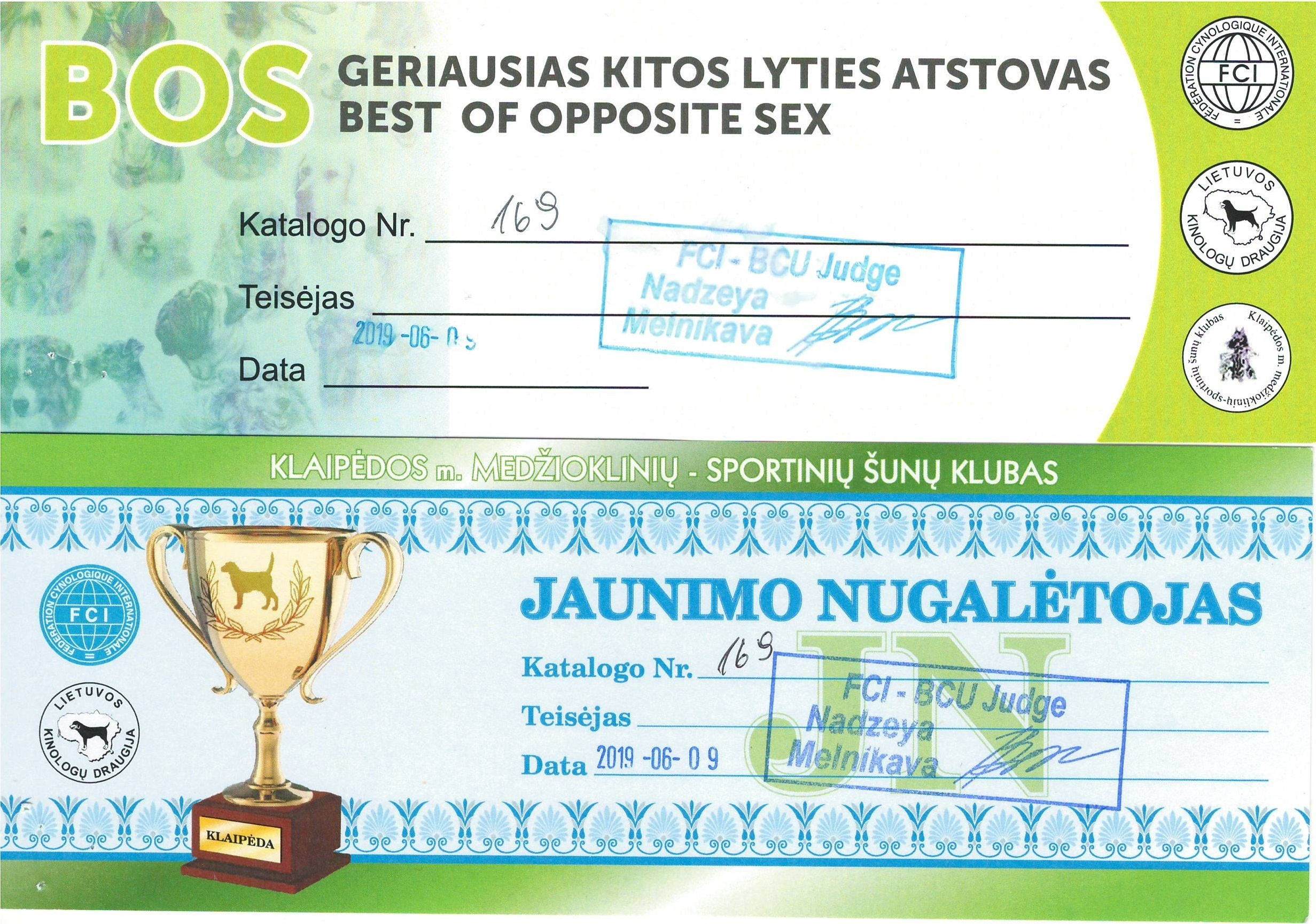 Участие в выставках родезийского риджбека Adhamas Geni Nala (Алана) в. Rhodesian ridgeback Adhamas Geni Nala