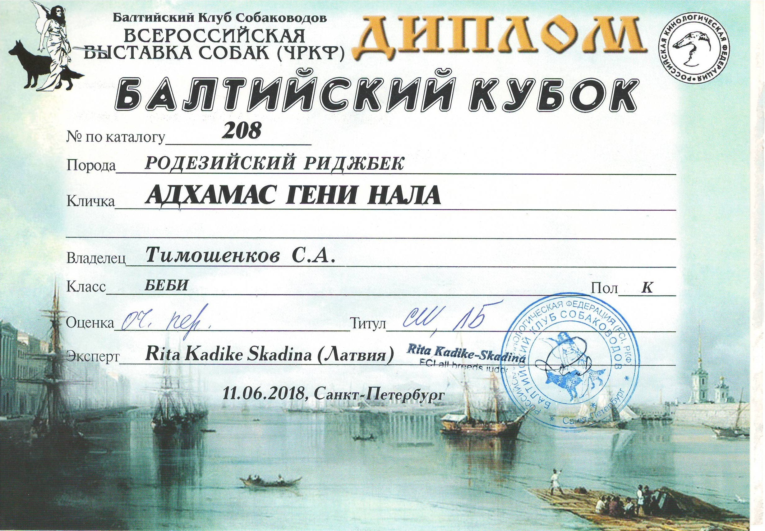 Участие в выставках родезийского риджбека Adhamas Geni Nala (Алана) в. Rhodesian ridgeback Adhamas Geni Nala