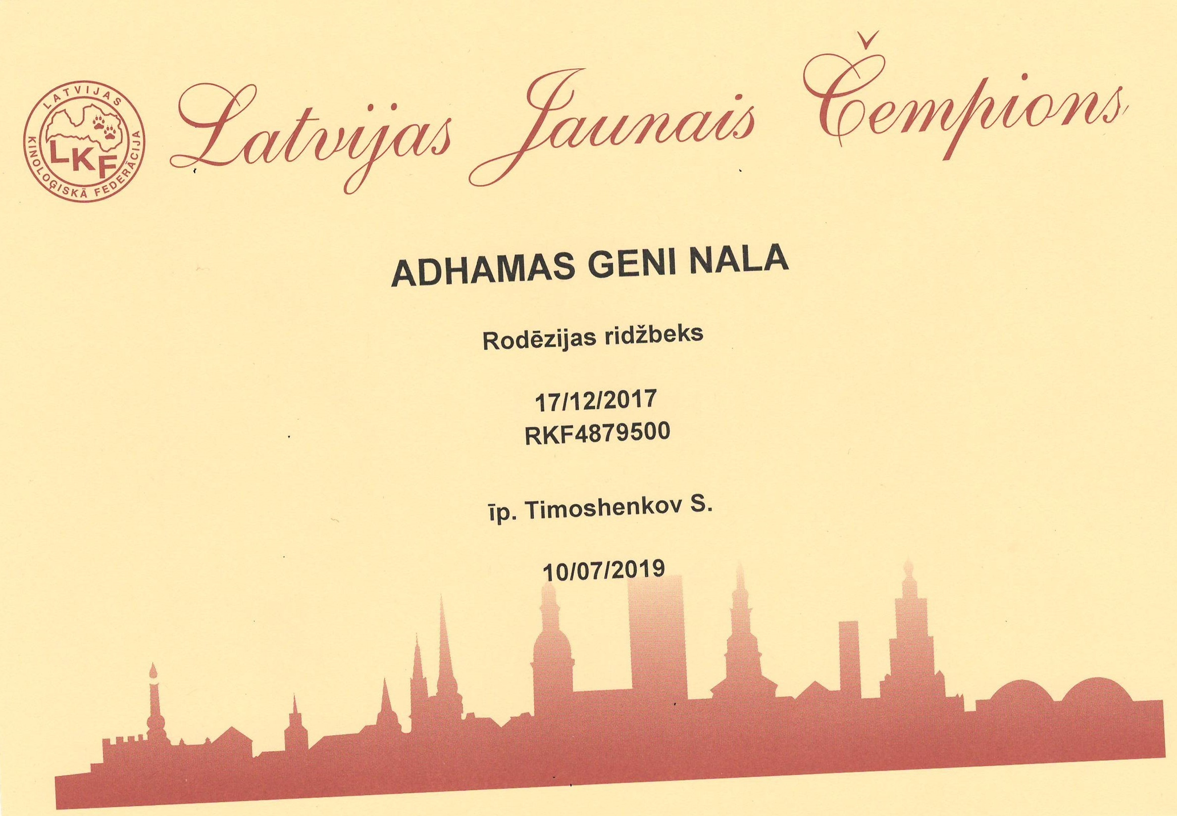 Титулы и чемпионство родезийского риджбека Adhamas Geni Nala (Алана). Rhodesian ridgeback Adhamas Geni Nala