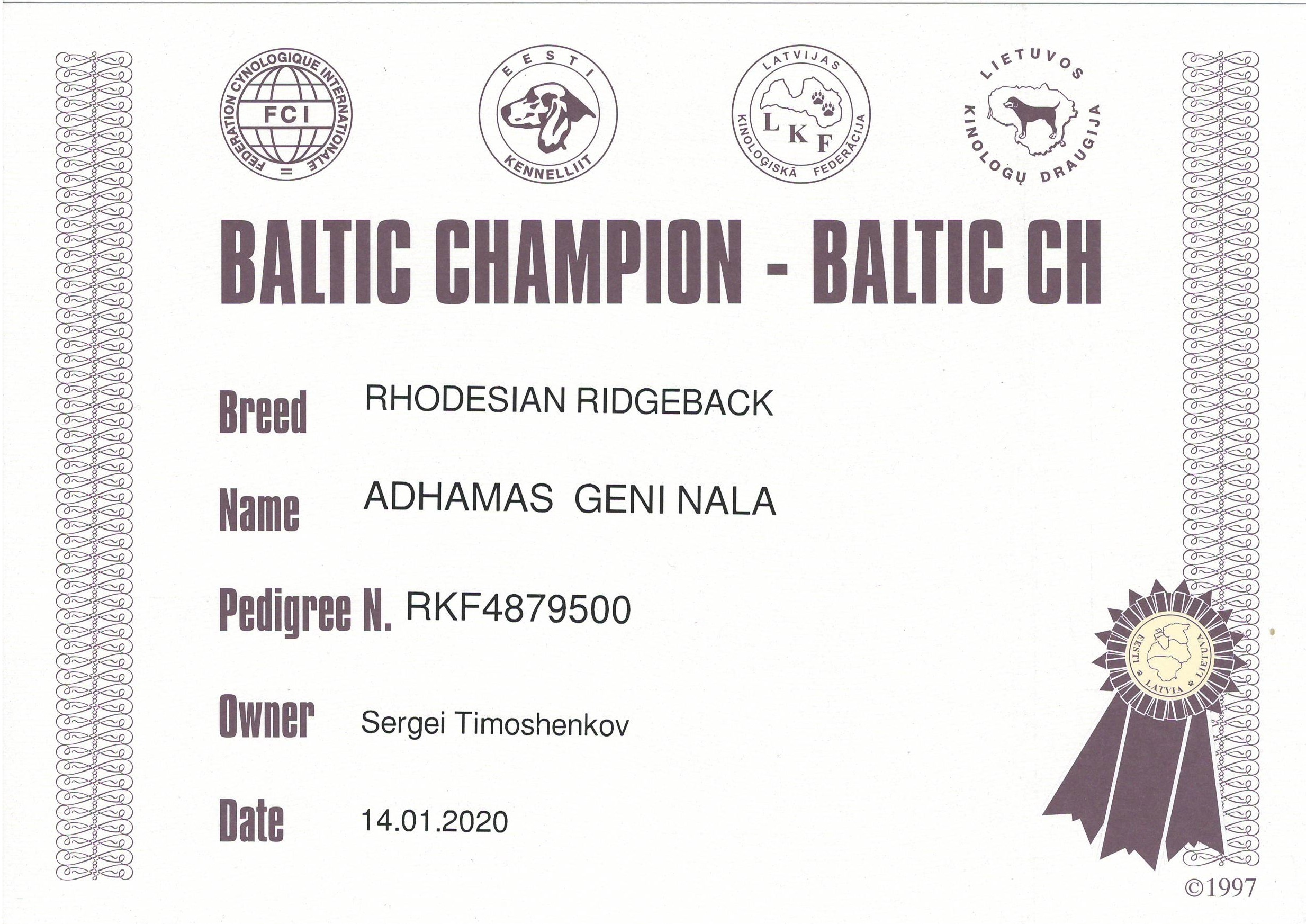 Титулы и чемпионство родезийского риджбека Adhamas Geni Nala (Алана). Rhodesian ridgeback Adhamas Geni Nala