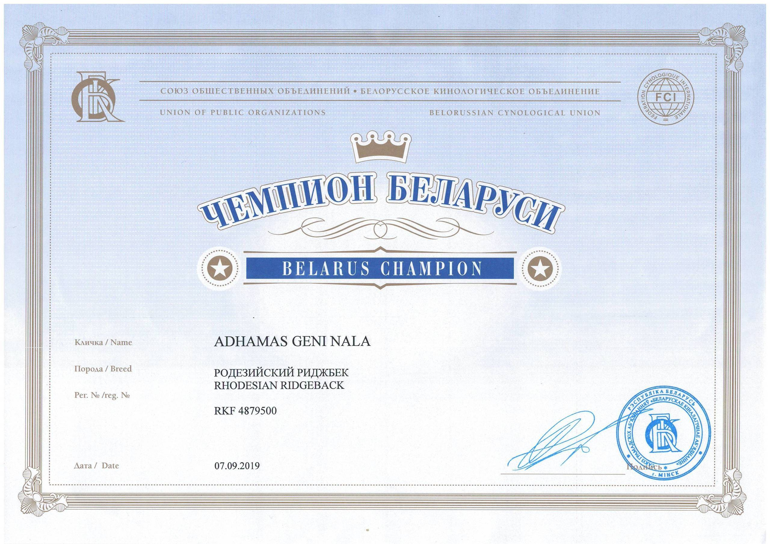 Титулы и чемпионство родезийского риджбека Adhamas Geni Nala (Алана). Rhodesian ridgeback Adhamas Geni Nala