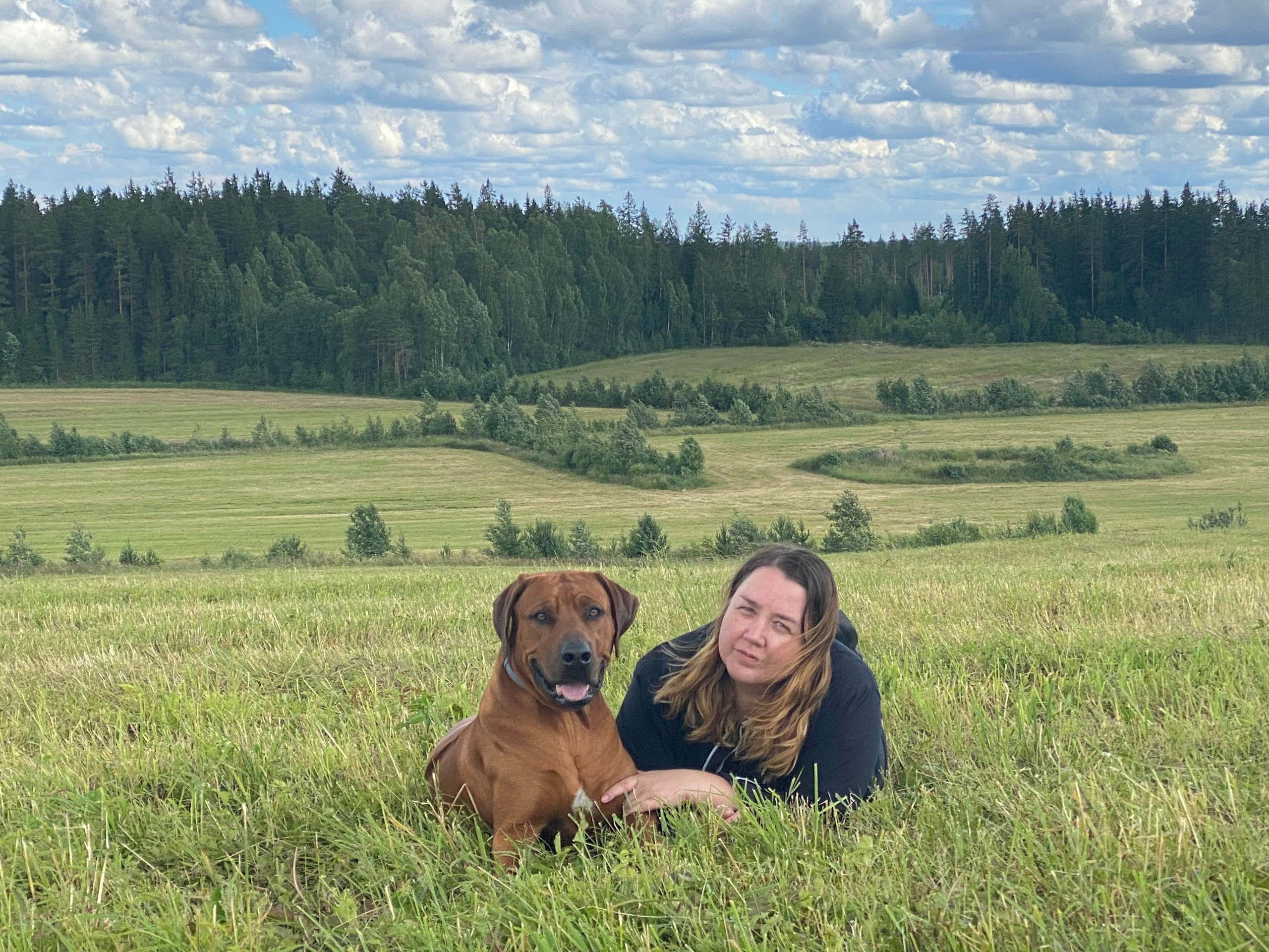 Фотографии родезийского риджбека Adhamas Geni Nala (Алана). Rhodesian ridgeback Adhamas Geni Nala