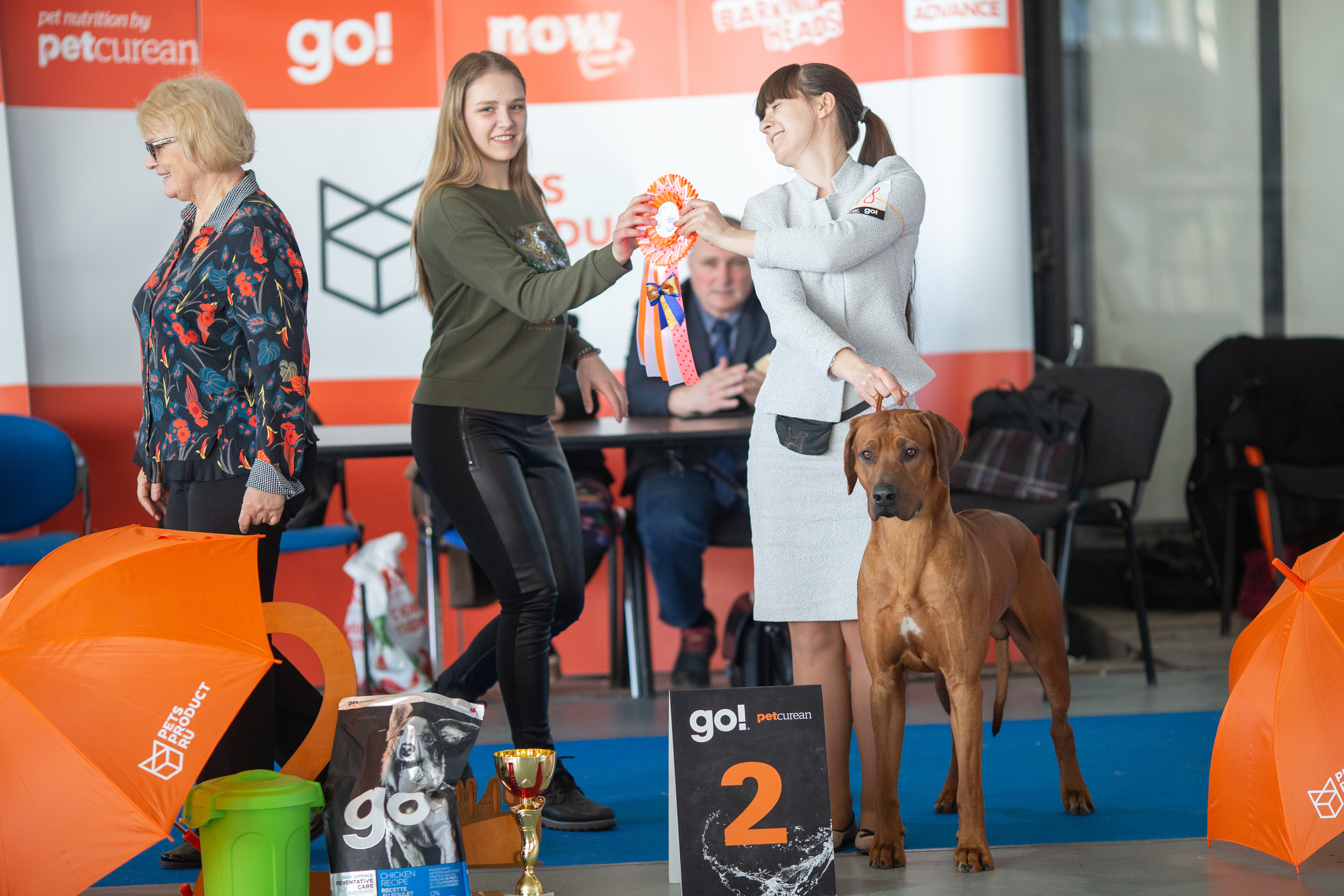 Фотографии родезийского риджбека Adhamas Geni Nala (Алана). Rhodesian ridgeback Adhamas Geni Nala