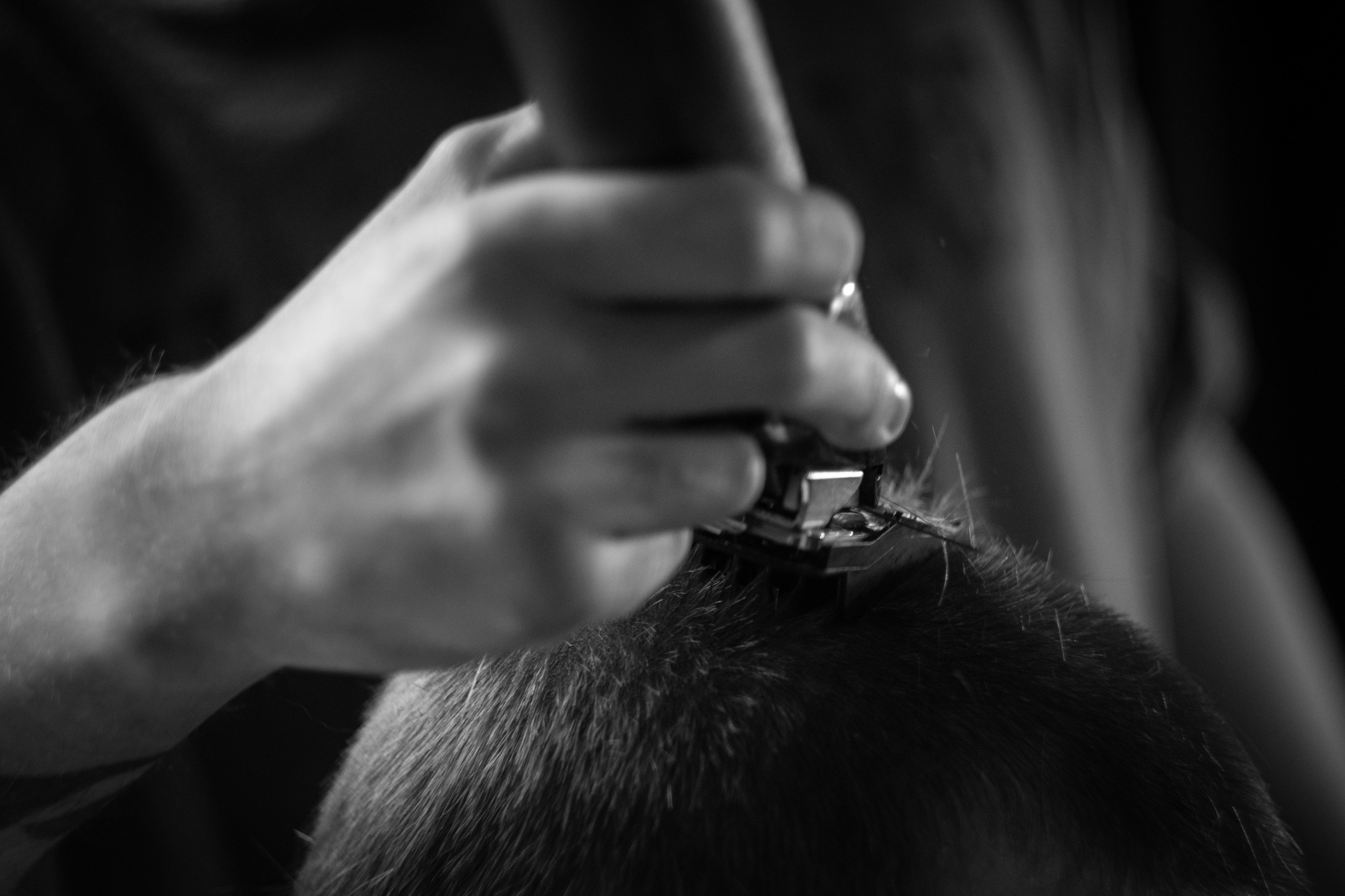 Все в перемешку. Фотограф Крутой Максим