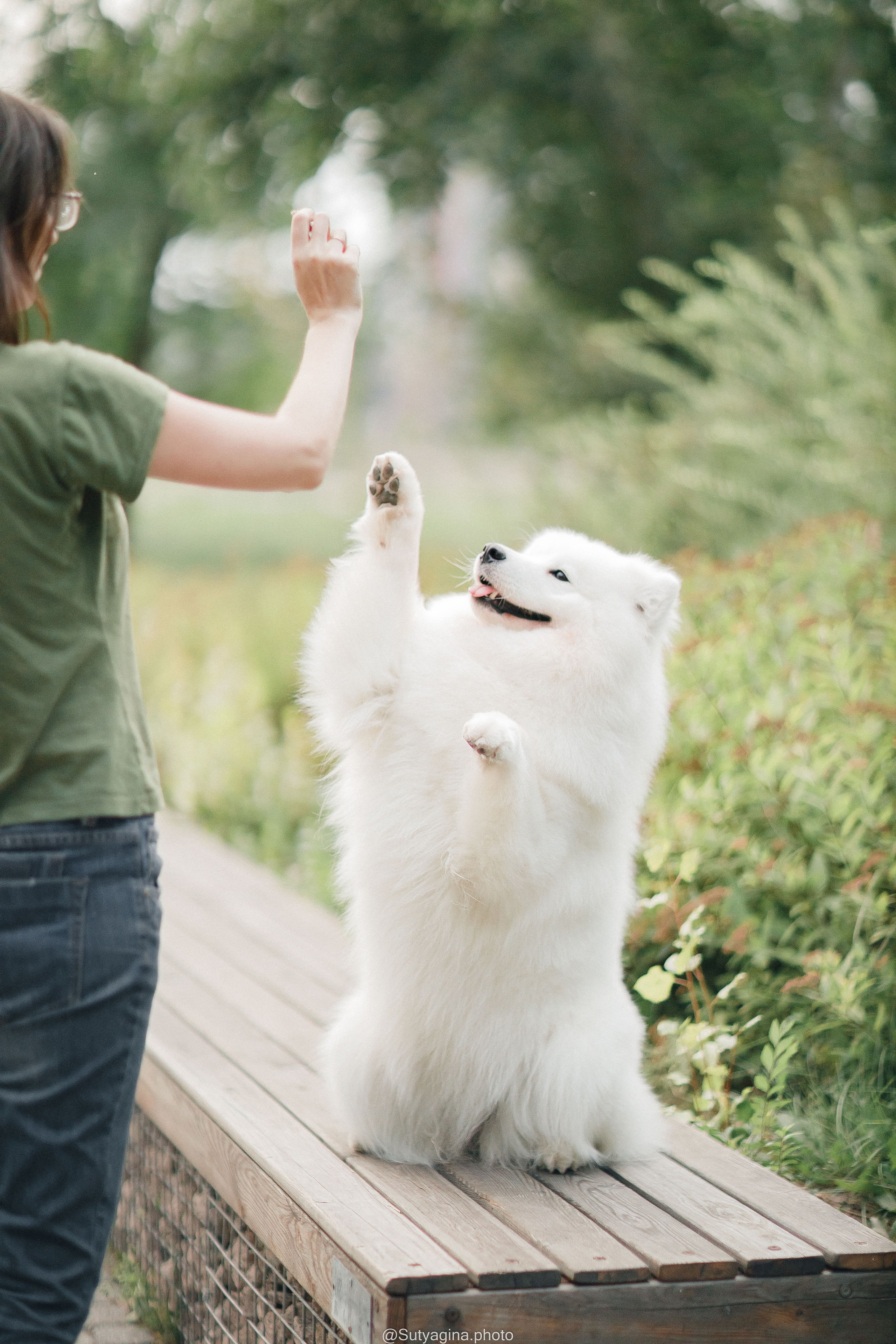 Самоед Рея. Свадебный и женский фотограф