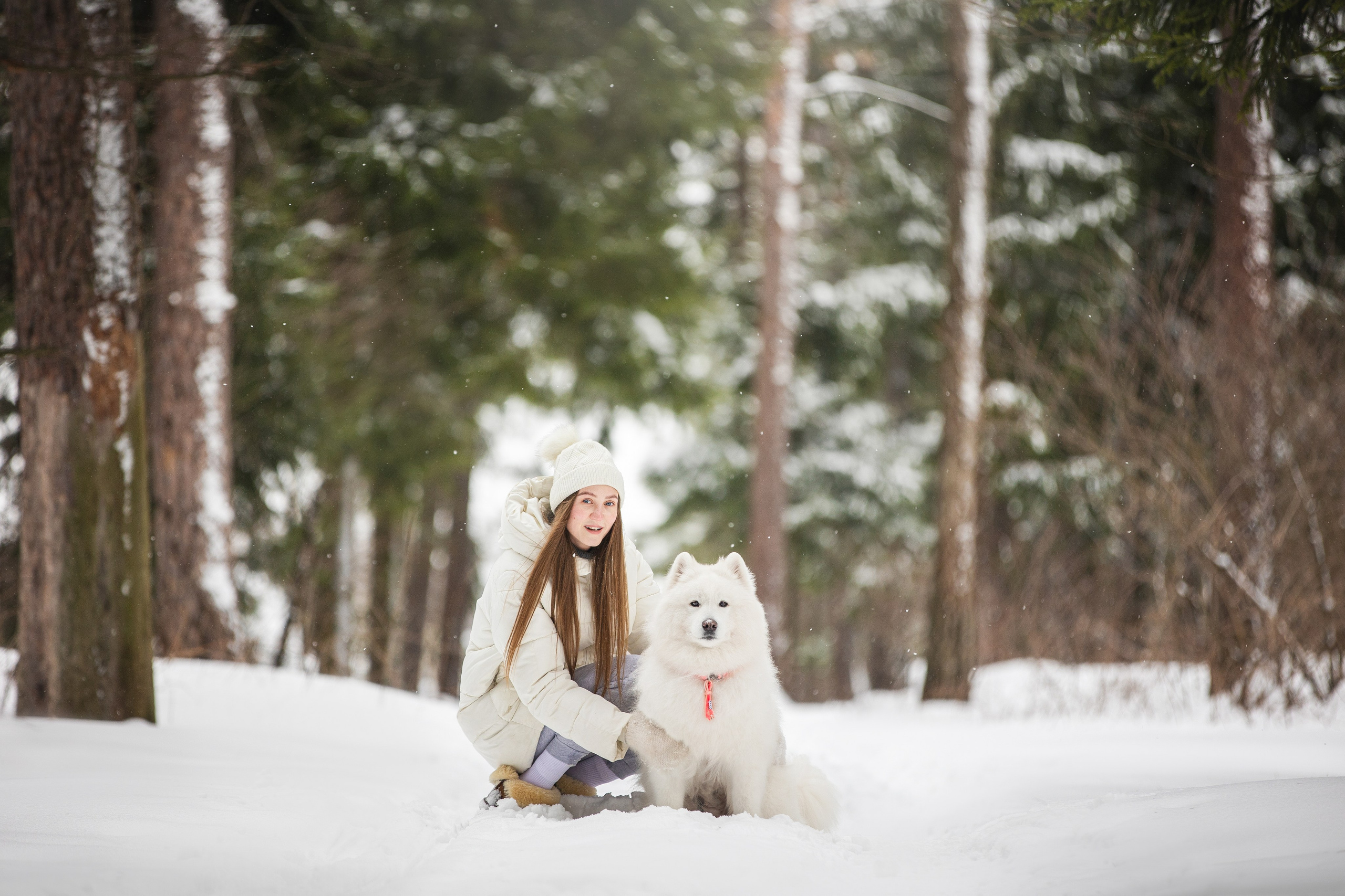 Валя, Варя и Лада. Фотограф анималист в Москве Майорова Евгения