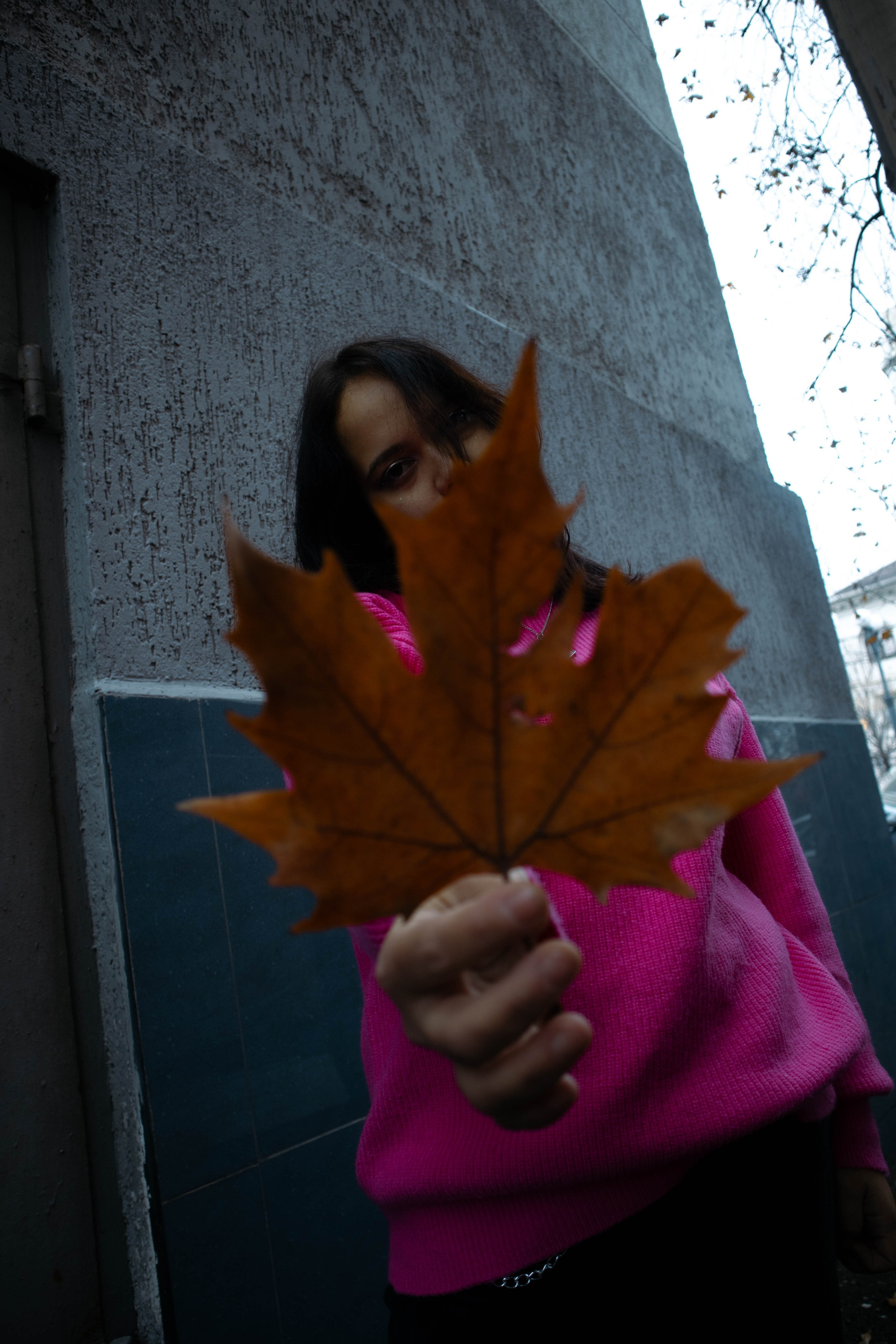 «Городская грация: осенний вальс». Уличный фотограф Города N