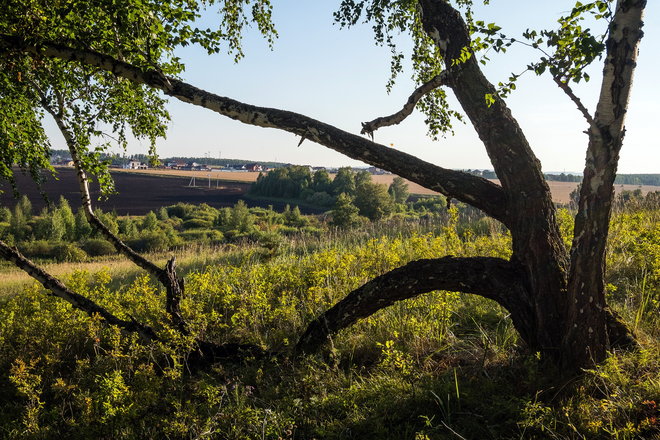 Landscapes. Стас Понятовский