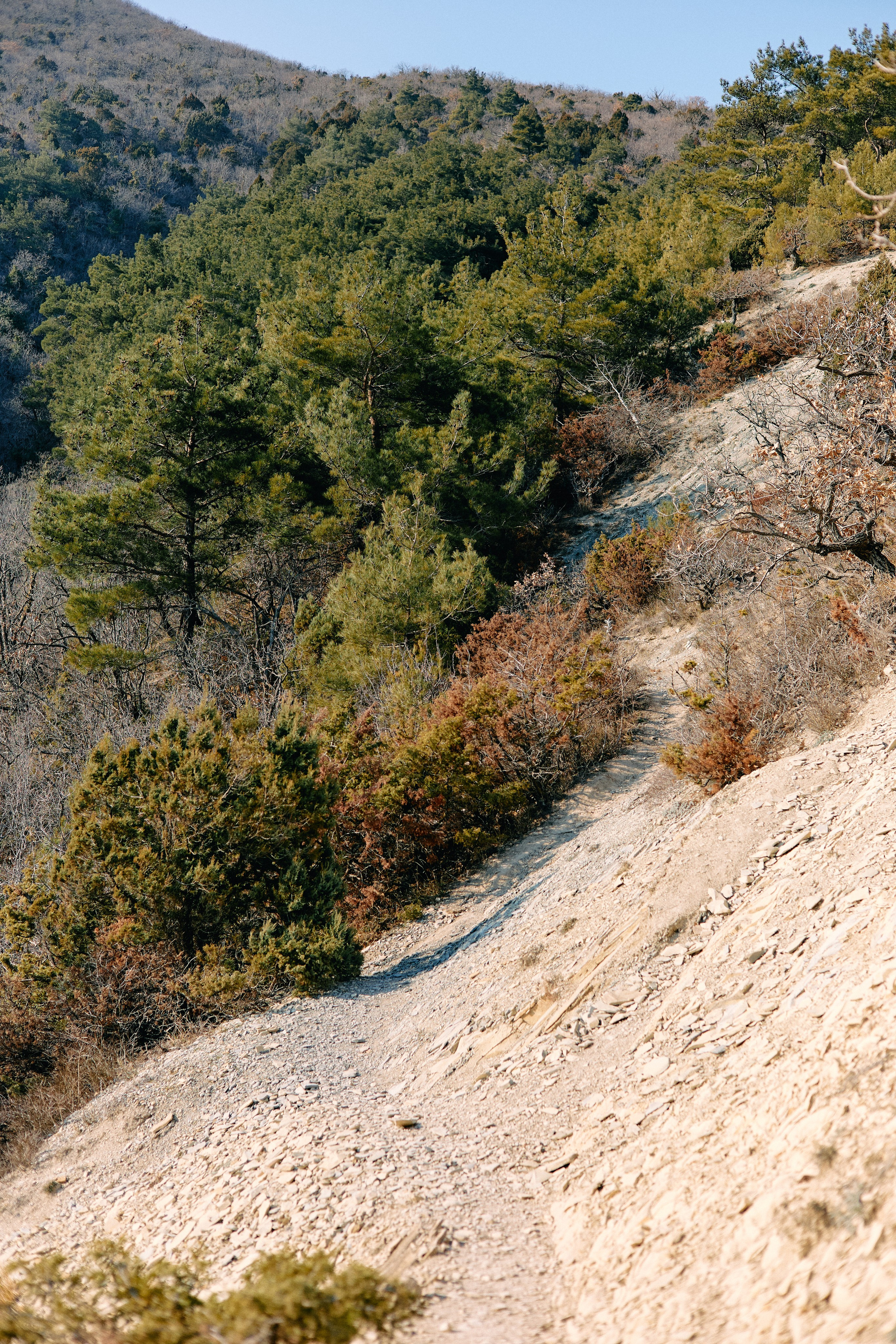 Юг России. Профессиональный Фотограф во Владимире, в Москве и в Суздале — Полина Романычева