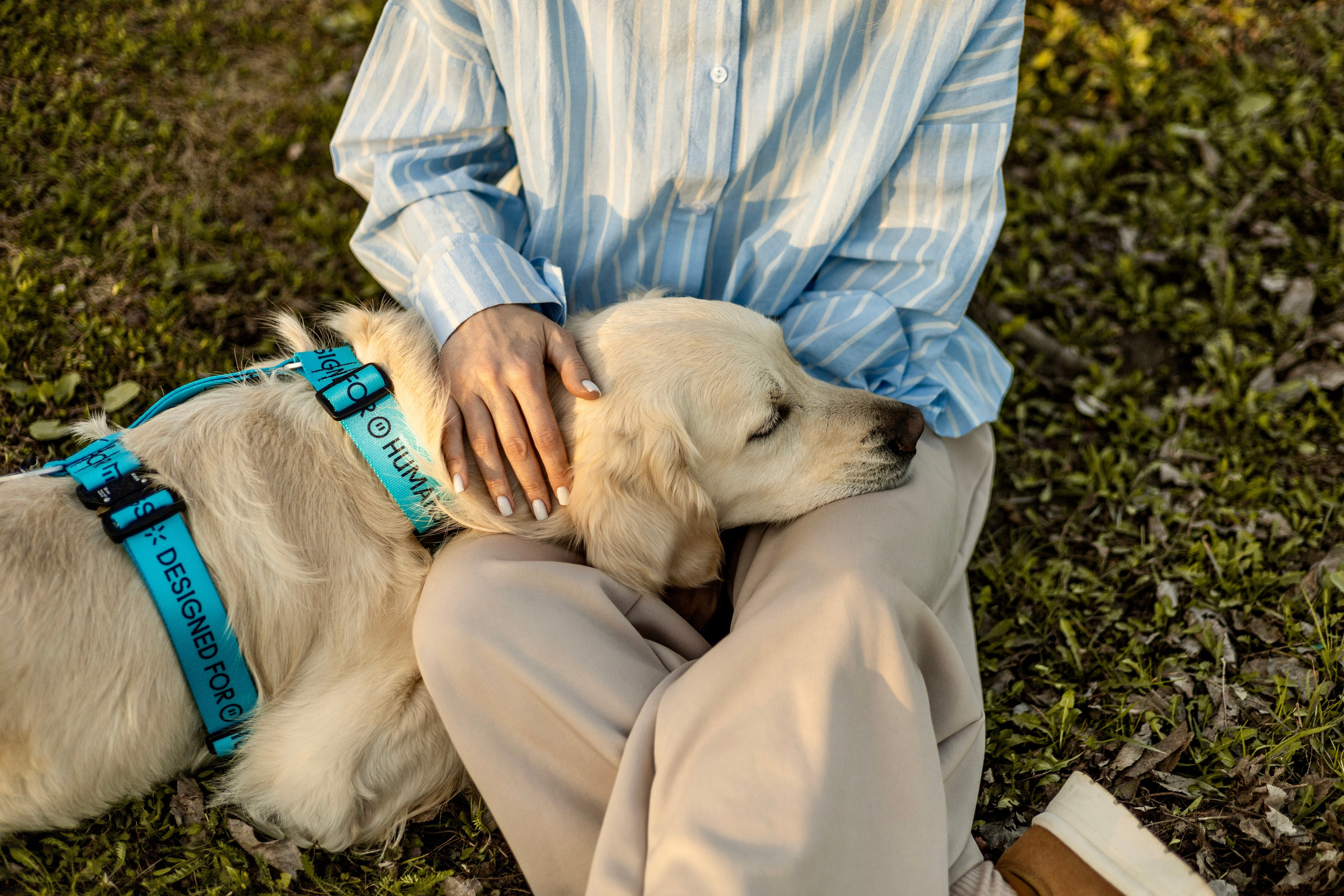 Зиз и Юля. Часть 2. Фотограф-анималист Ксения Шевцова|Москва