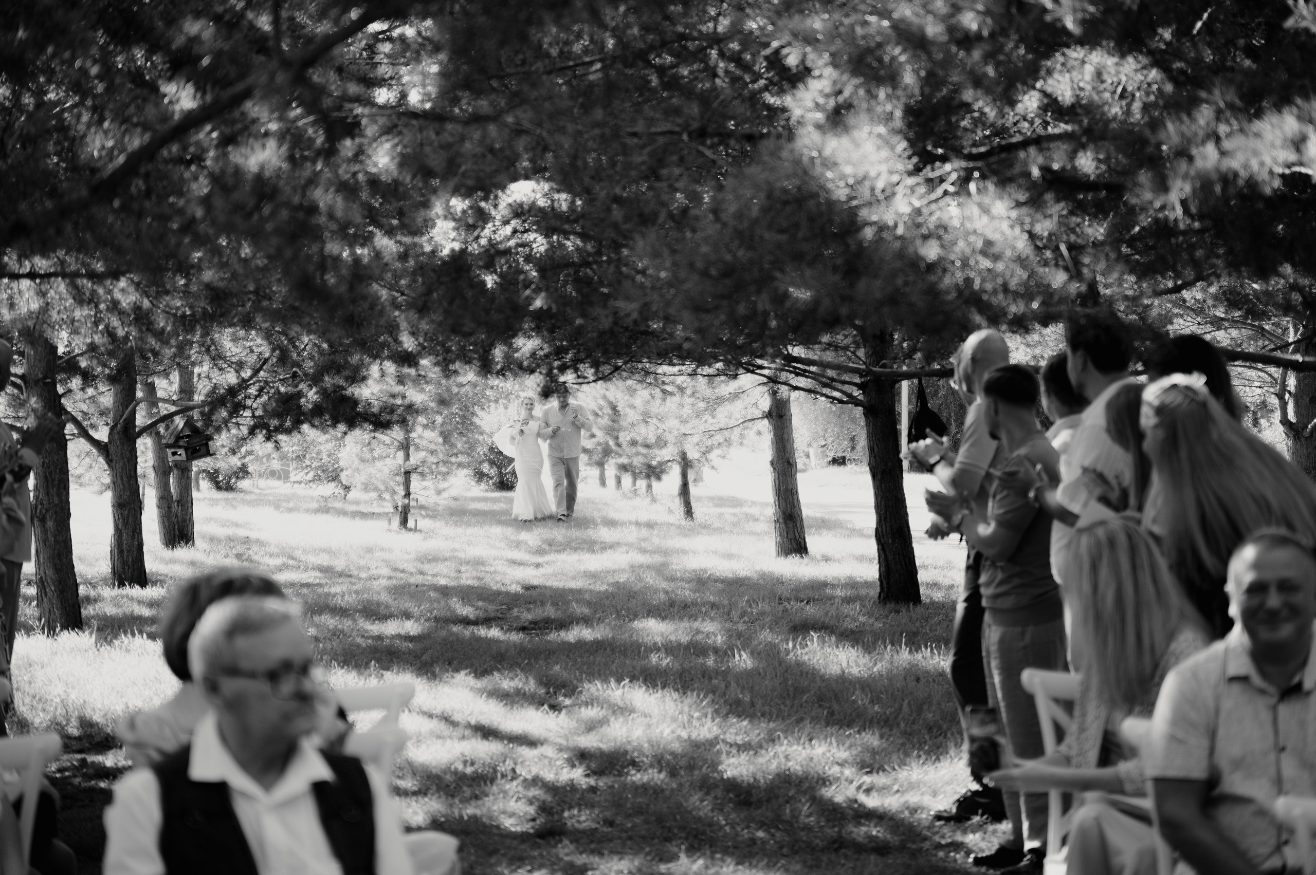 Арсений и Елена. Фотограф в Абакане и Минусинске