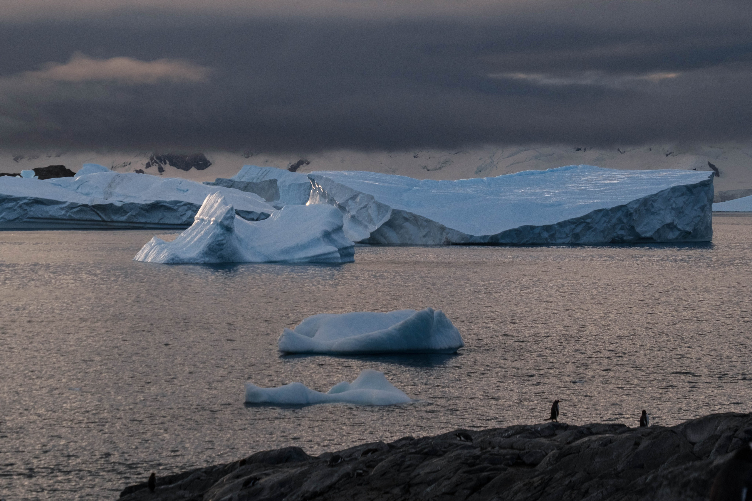 Материк и льды. Фотографии из путешествий