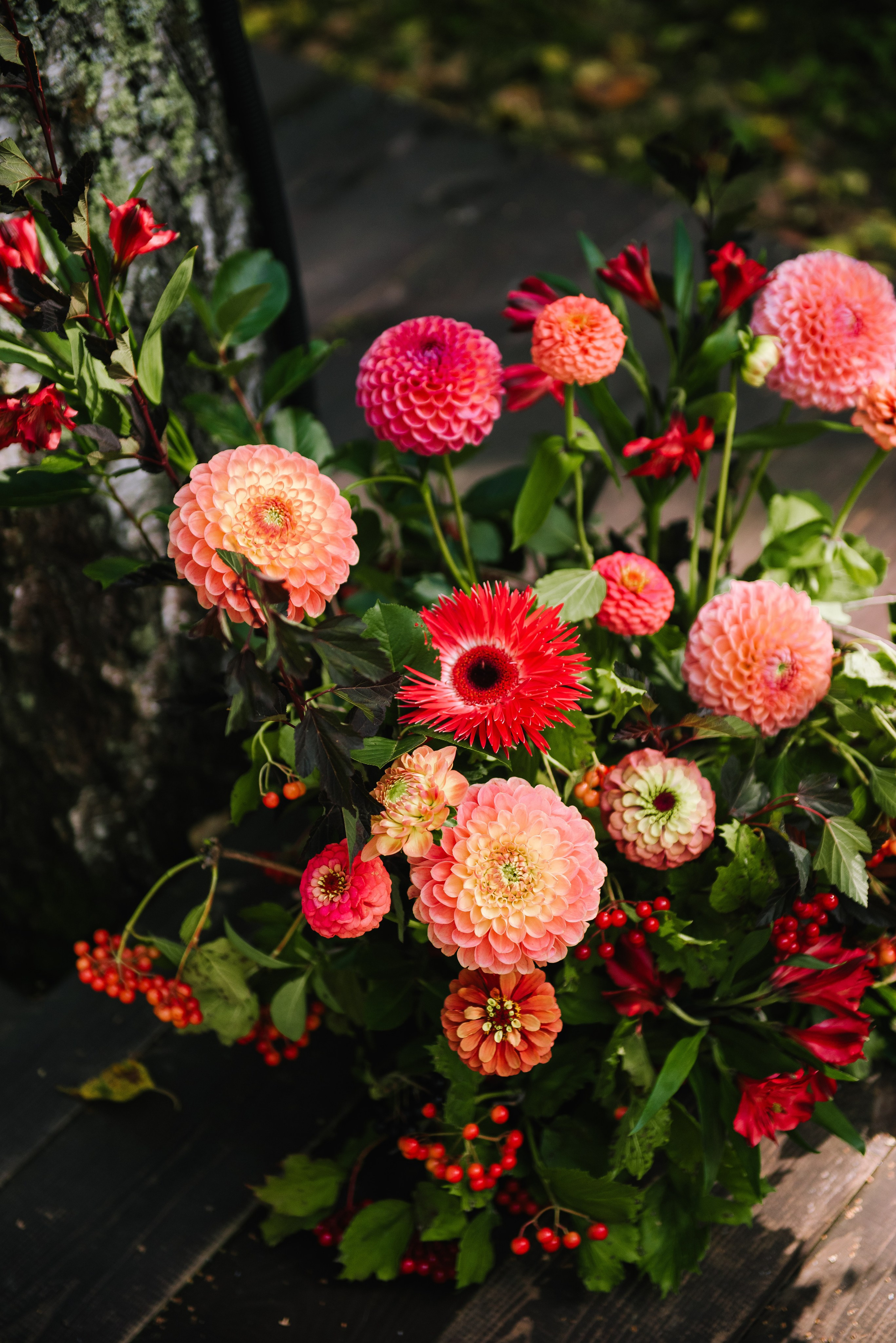 Альберт и Ася. Свадебный и портретный фотограф на Алтае Кузнецова Людмила