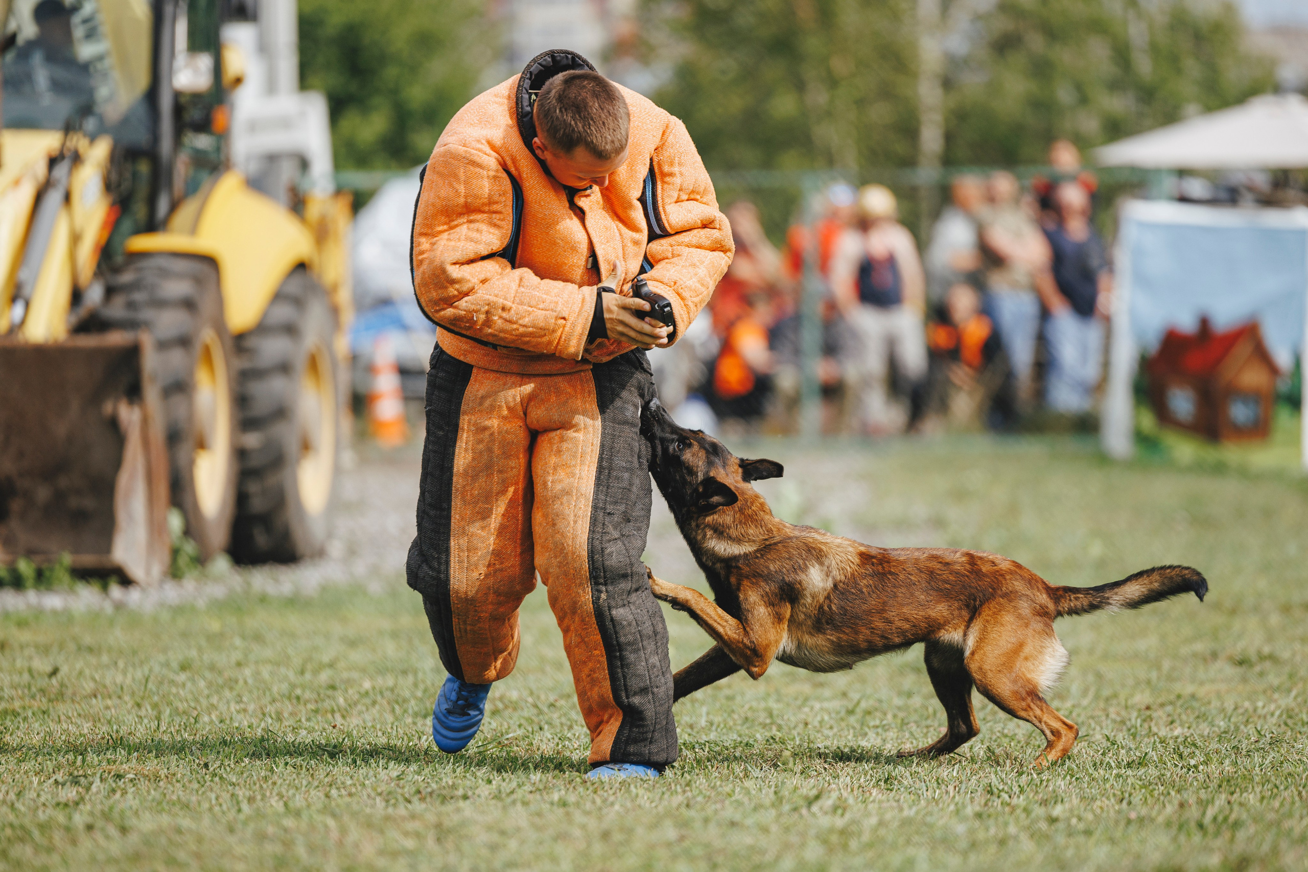 08.08.25-10.08.25 ЧР по мондьорингу г. Вологда. Фотограф-анималист Анна Маринич