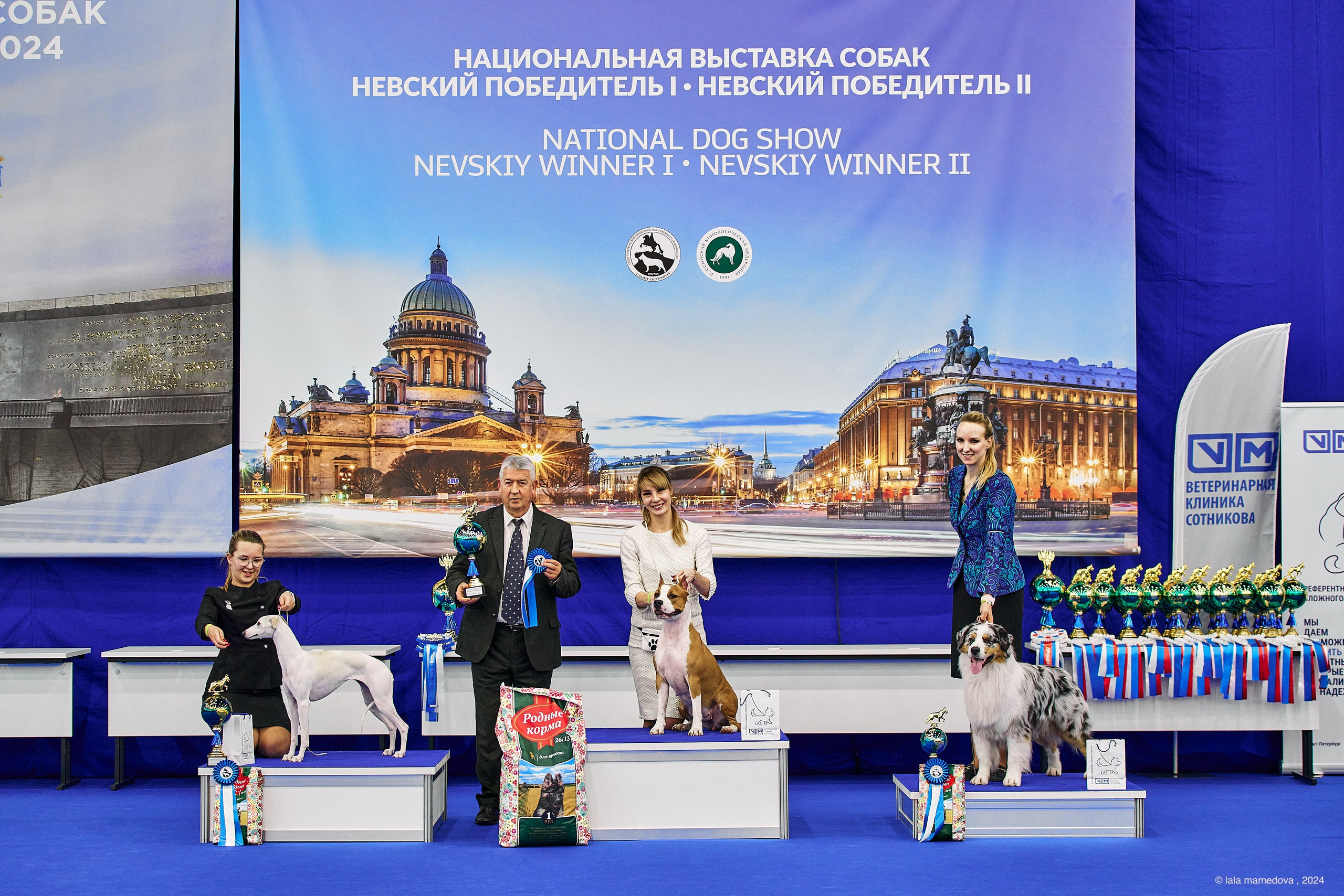 РЕЙТИНГОВАЯ ВЫСТАВКА СОБАК ВСЕХ ПОРОД С ОСОБЫМ СТАТУСОМ"НЕВСКИЙ ПОБЕДИТЕЛЬ-2024-1"