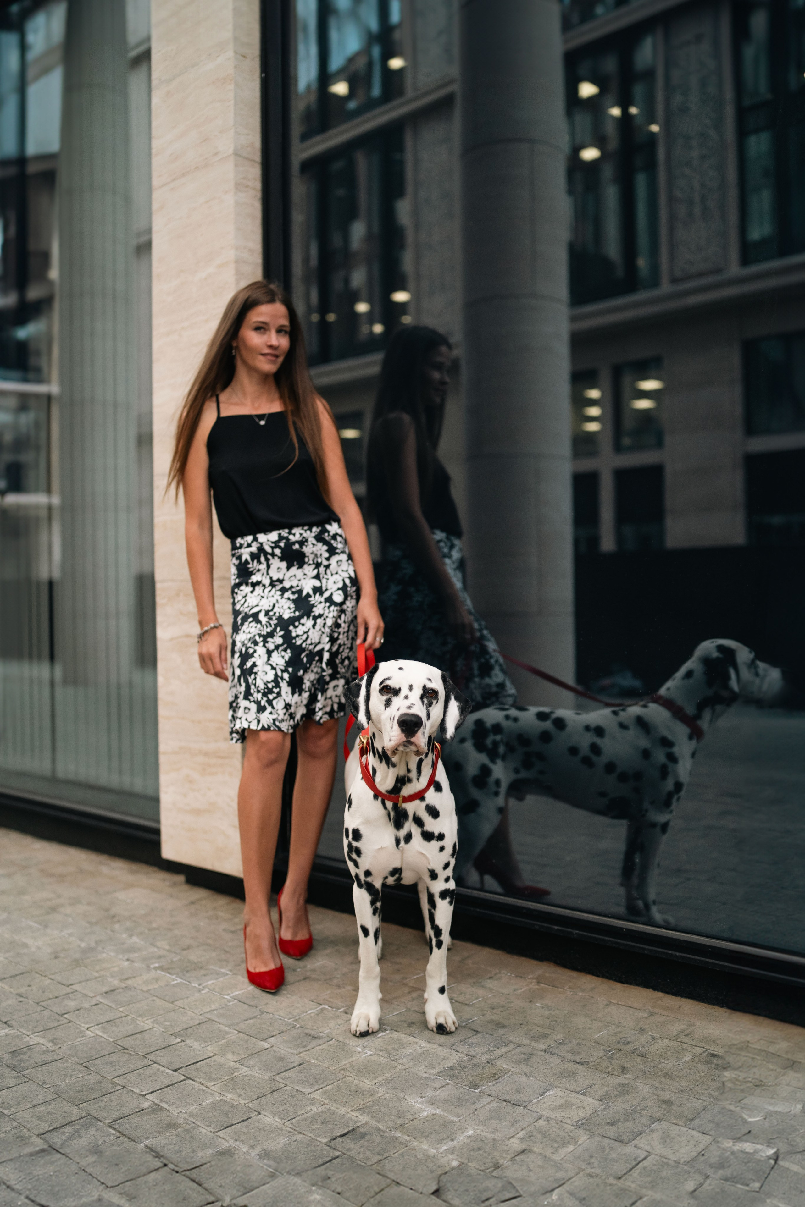 1 Далматин. Фотограф анималист