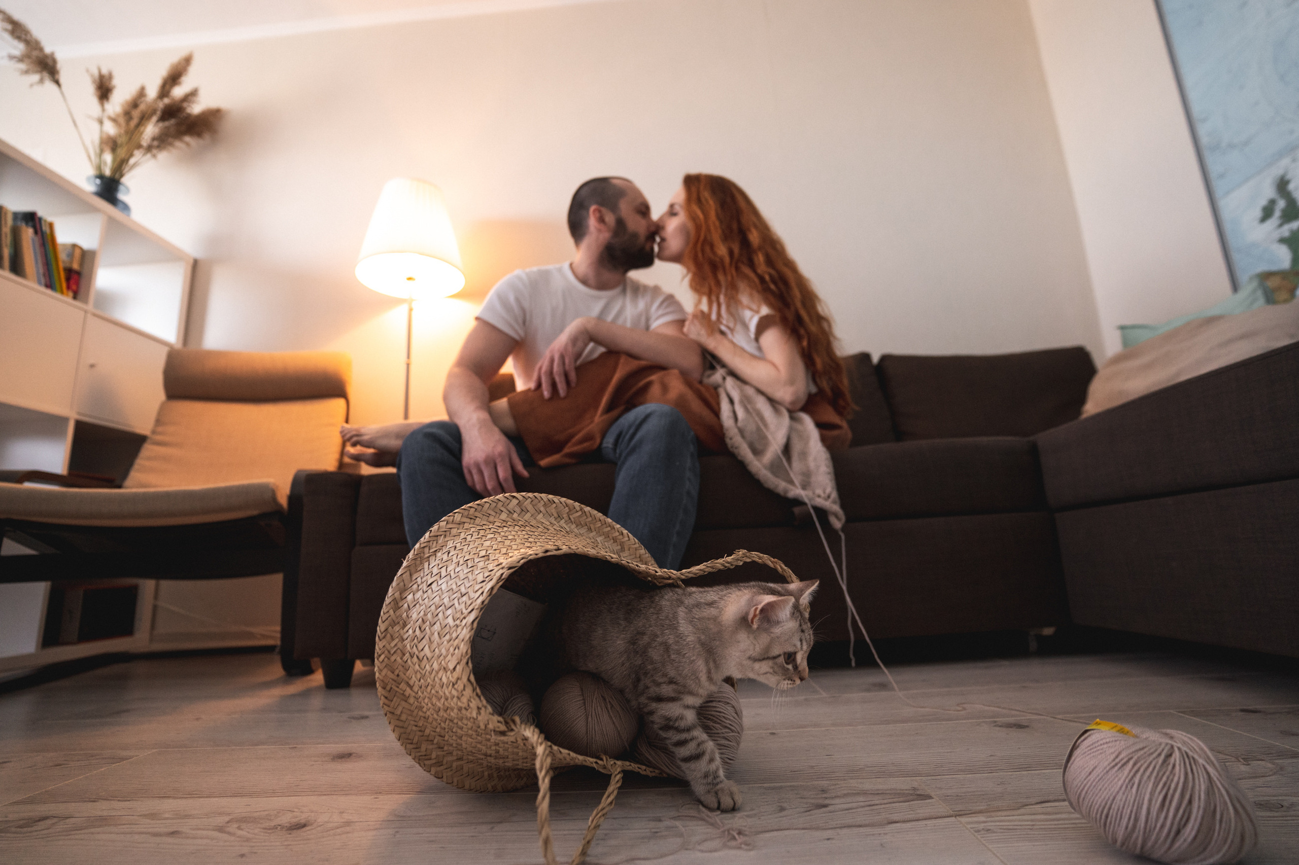 домашняя фотосессия с котиком