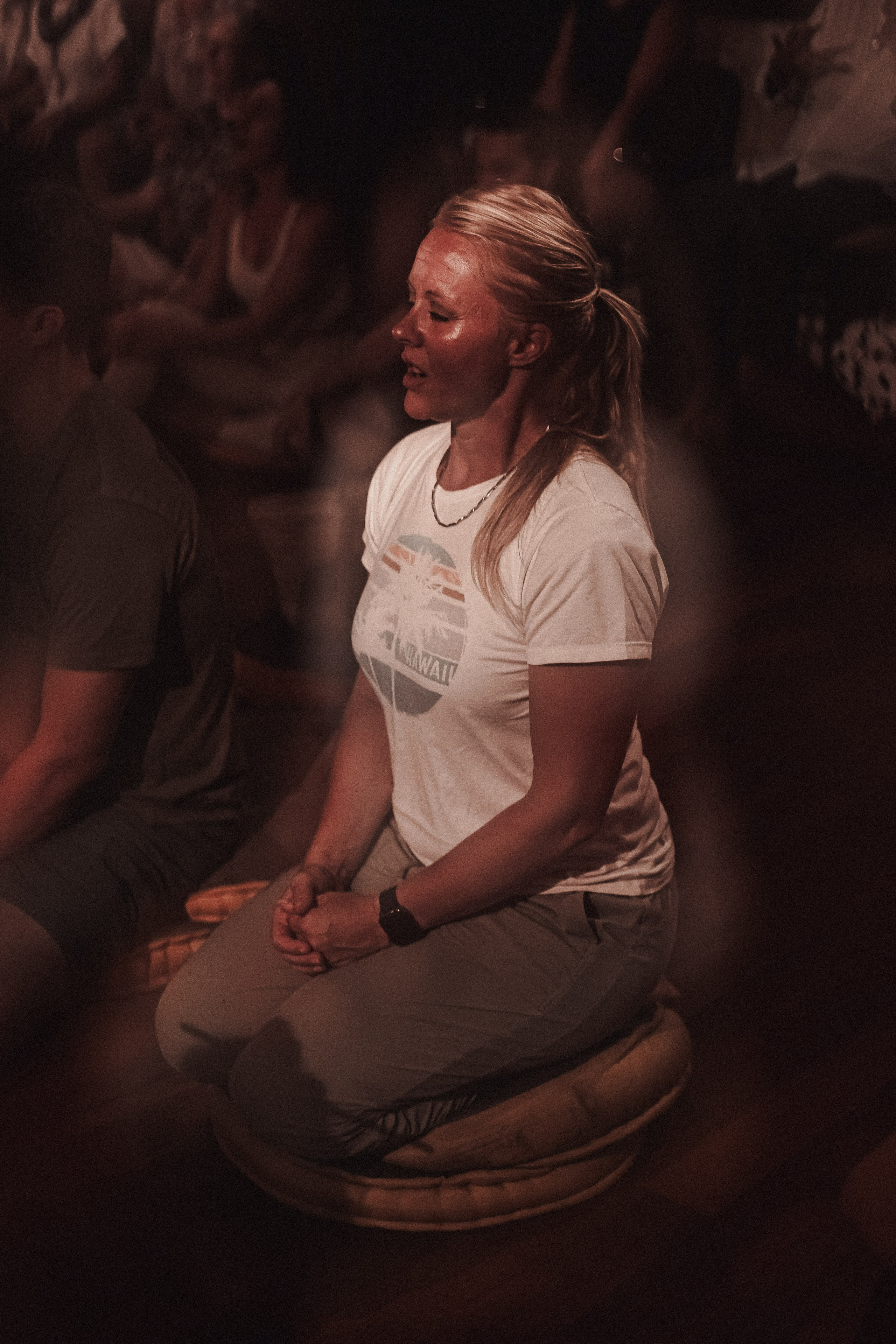 Hanuman Project on Krishna Das's retreat. Мариам Багдасарян