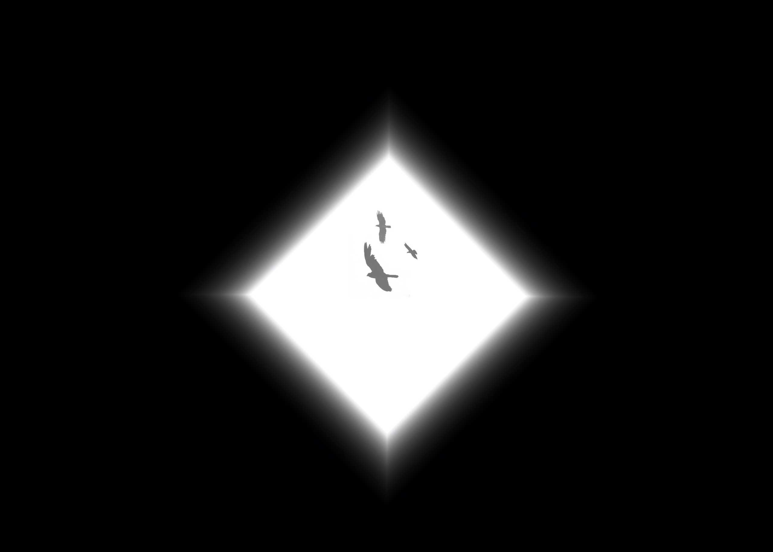 Среди чёрного и белого  можно найти выход всегда.